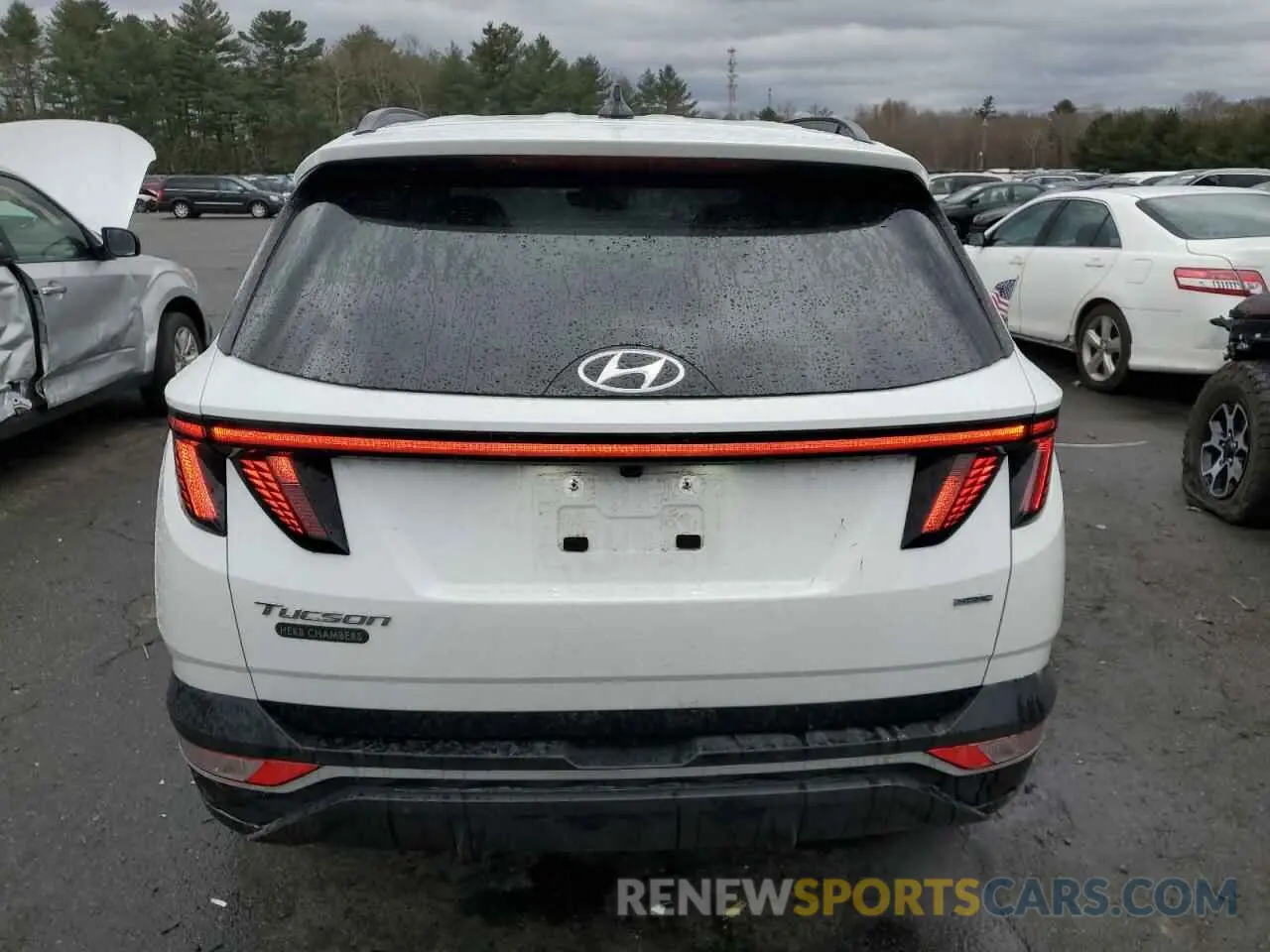 6 Photograph of a damaged car 5NMJBCAE8NH086319 HYUNDAI TUCSON 2022