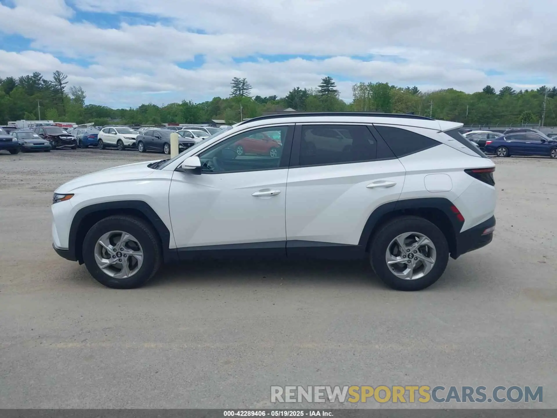 14 Photograph of a damaged car 5NMJBCAE8NH123949 HYUNDAI TUCSON 2022