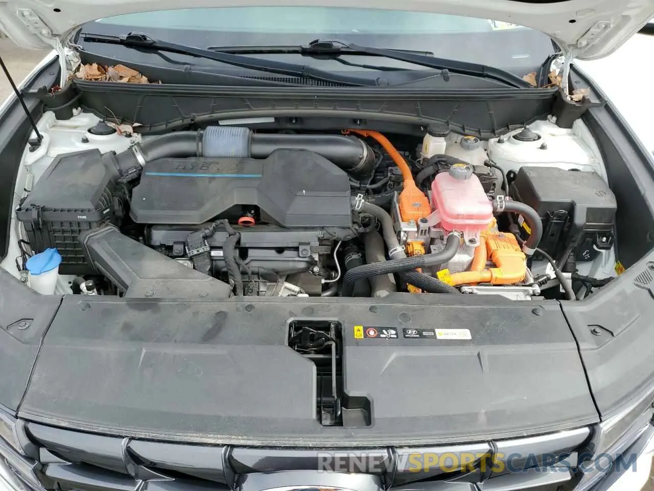 12 Photograph of a damaged car KM8JBCA18NU010925 HYUNDAI TUCSON 2022