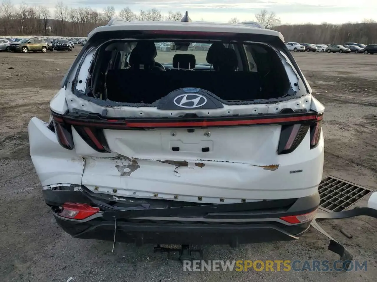 6 Photograph of a damaged car 5NMJBCAE0PH265098 HYUNDAI TUCSON 2023