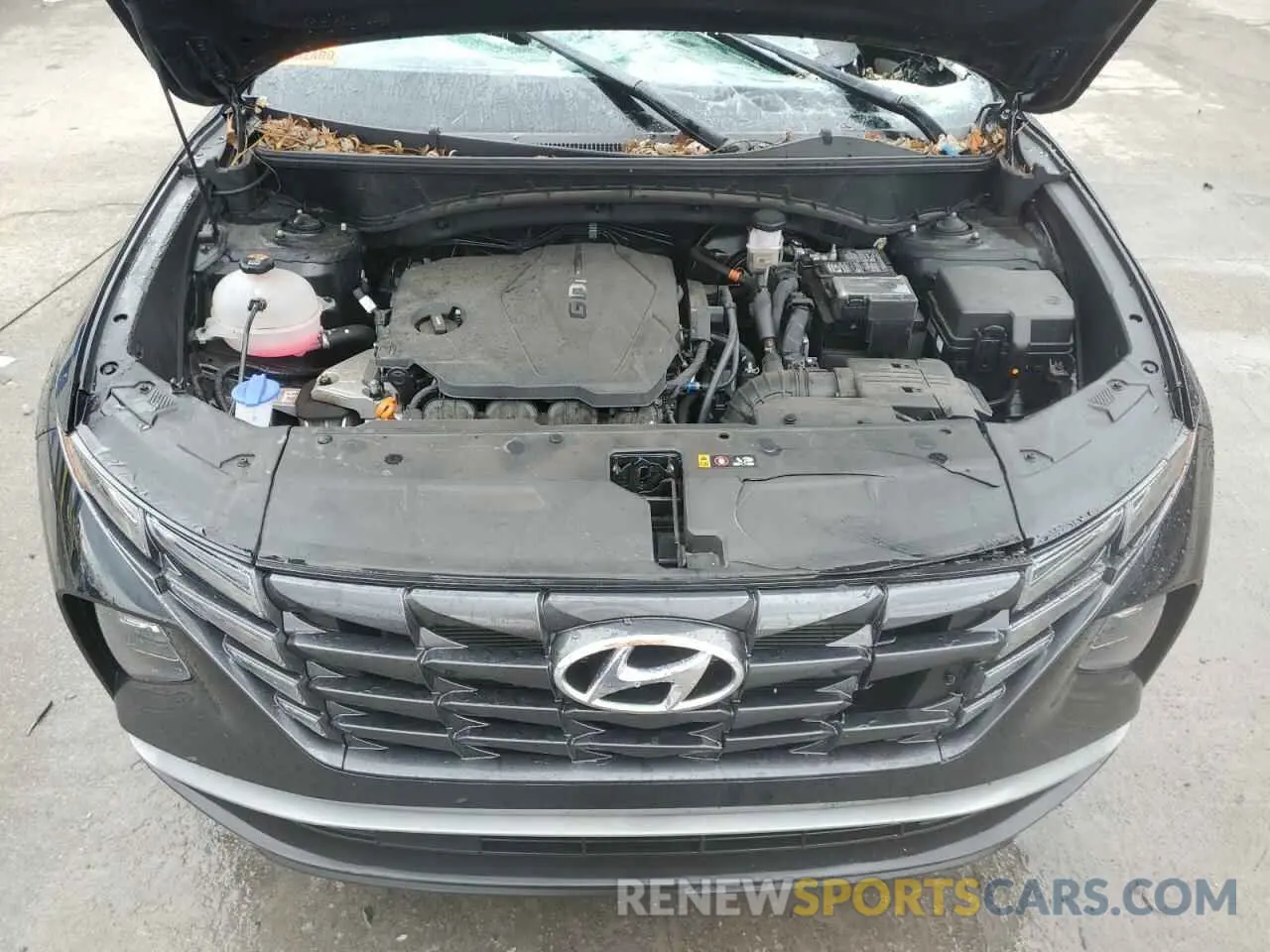 12 Photograph of a damaged car 5NMJBCAE2PH270674 HYUNDAI TUCSON 2023