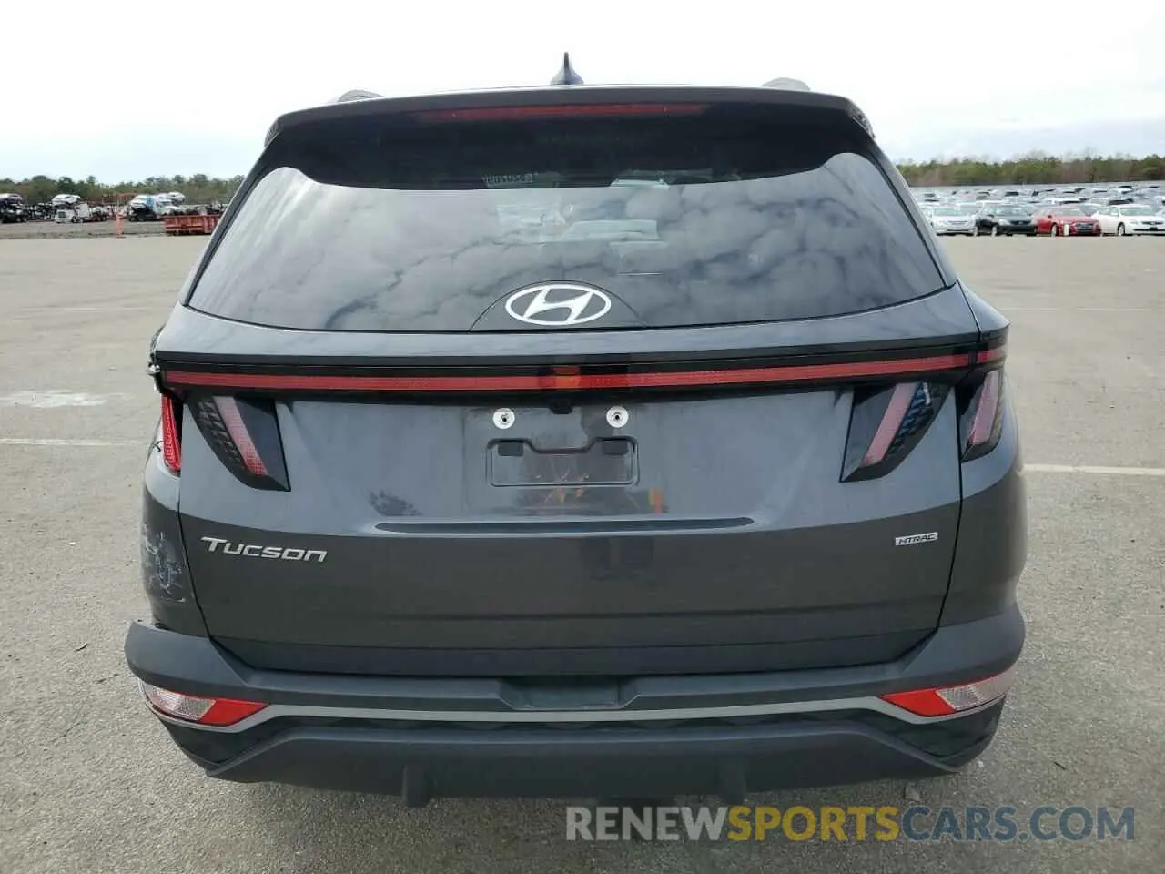 6 Photograph of a damaged car 5NMJBCAE3PH261921 HYUNDAI TUCSON 2023