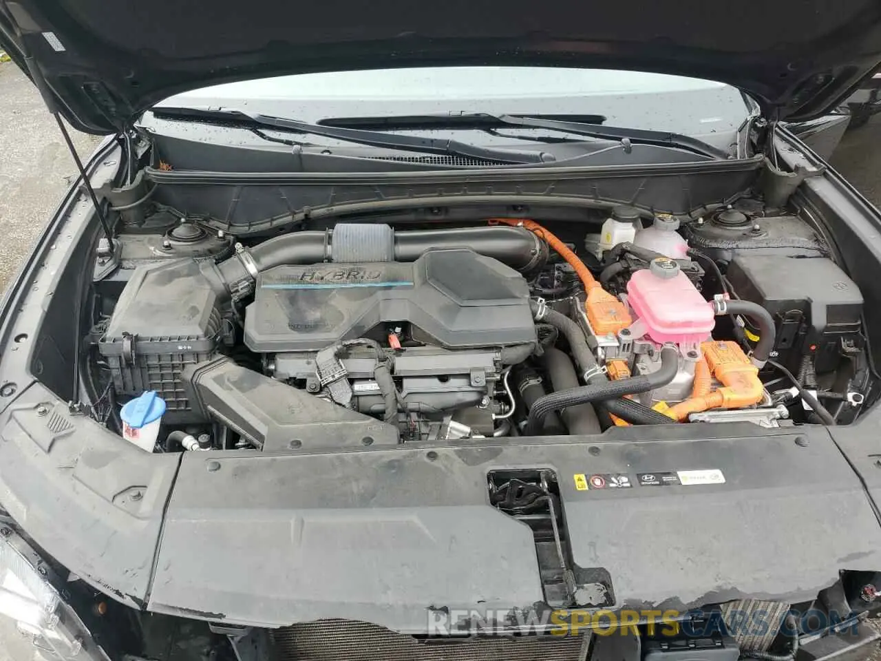 12 Photograph of a damaged car KM8JECA16PU089408 HYUNDAI TUCSON 2023