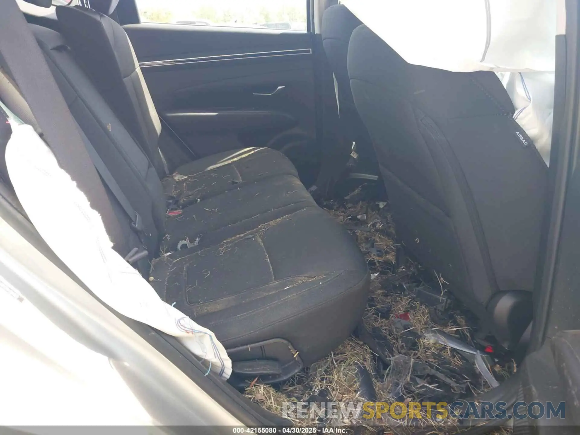 8 Photograph of a damaged car 5NMJA3DE7RH325329 HYUNDAI TUCSON 2024