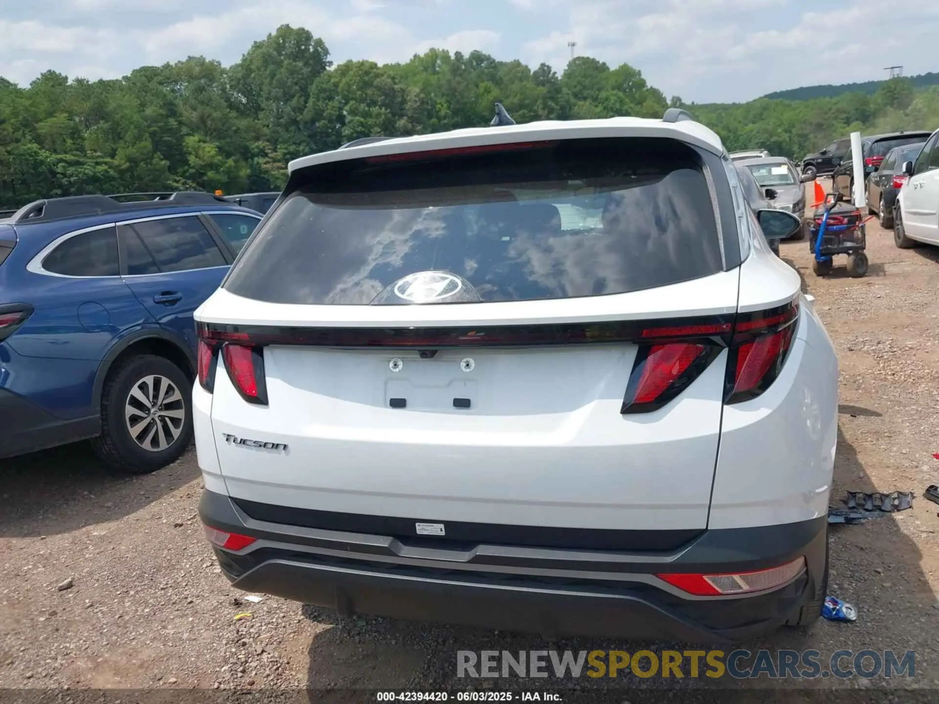 16 Photograph of a damaged car 5NMJB3DE1RH422832 HYUNDAI TUCSON 2024