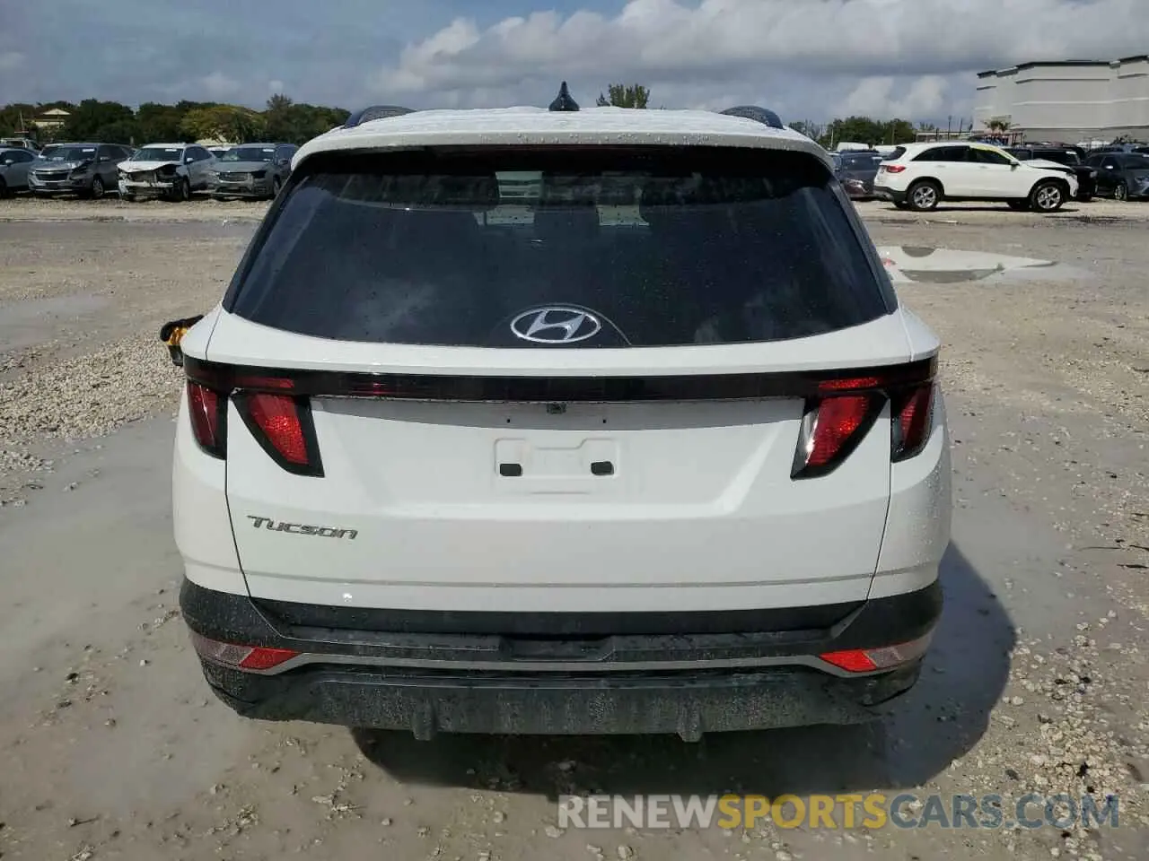 6 Photograph of a damaged car 5NMJB3DE2RH428476 HYUNDAI TUCSON 2024