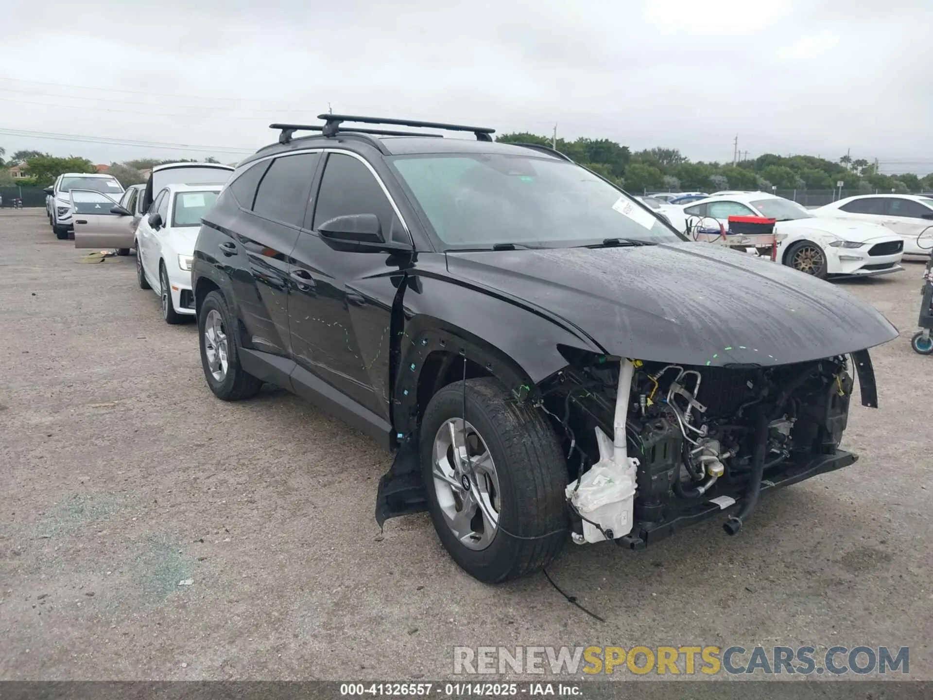 6 Photograph of a damaged car 5NMJB3DE7RH302260 HYUNDAI TUCSON 2024