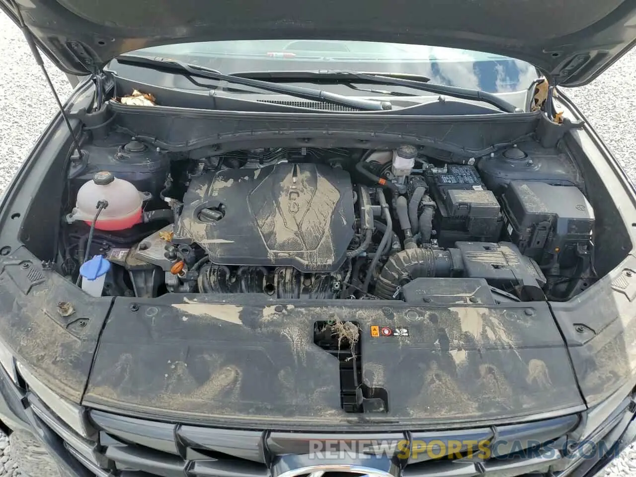 14 Photograph of a damaged car 5NMJB3DE8RH311520 HYUNDAI TUCSON 2024