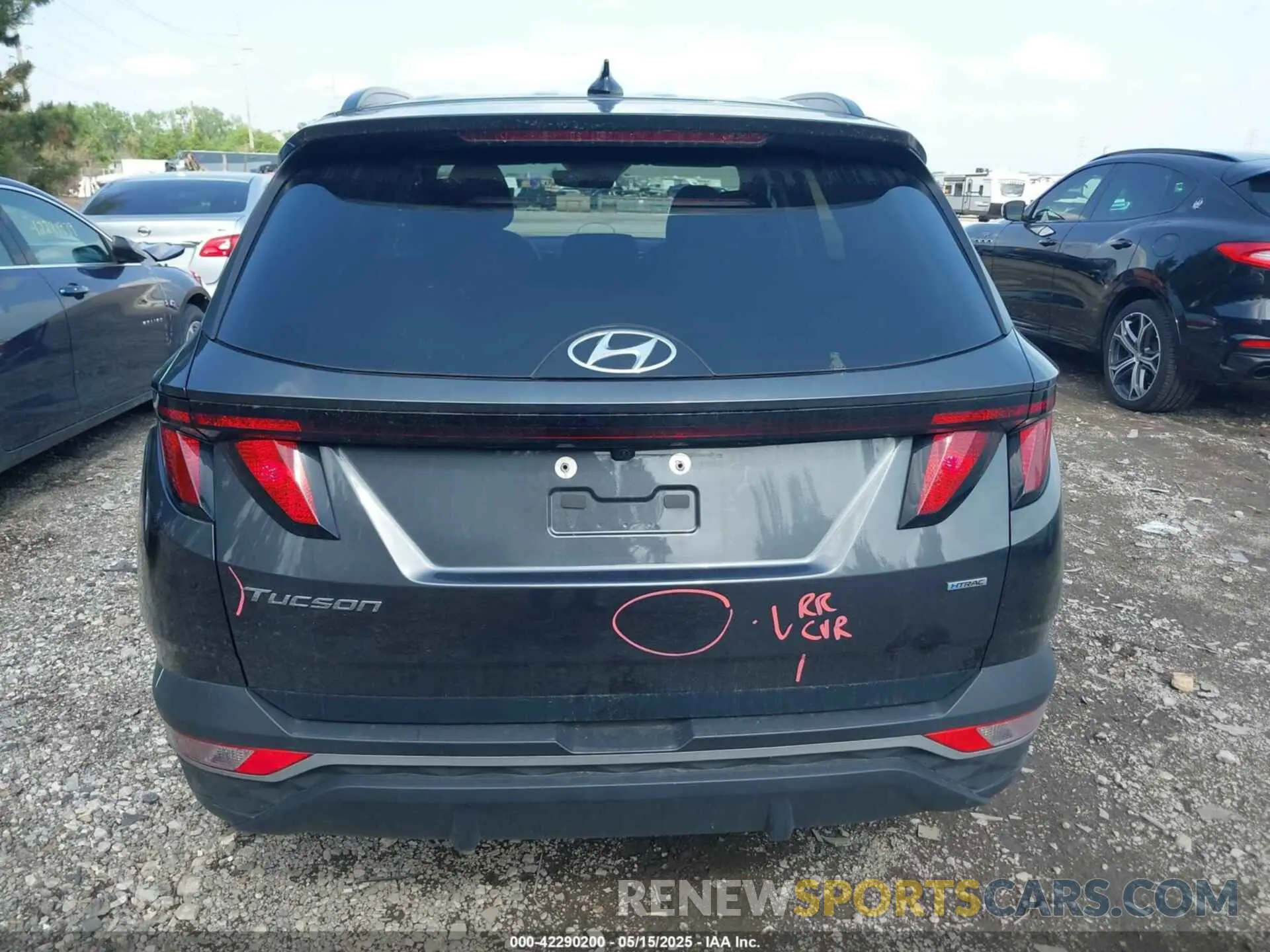 16 Photograph of a damaged car 5NMJBCDE0RH352997 HYUNDAI TUCSON 2024