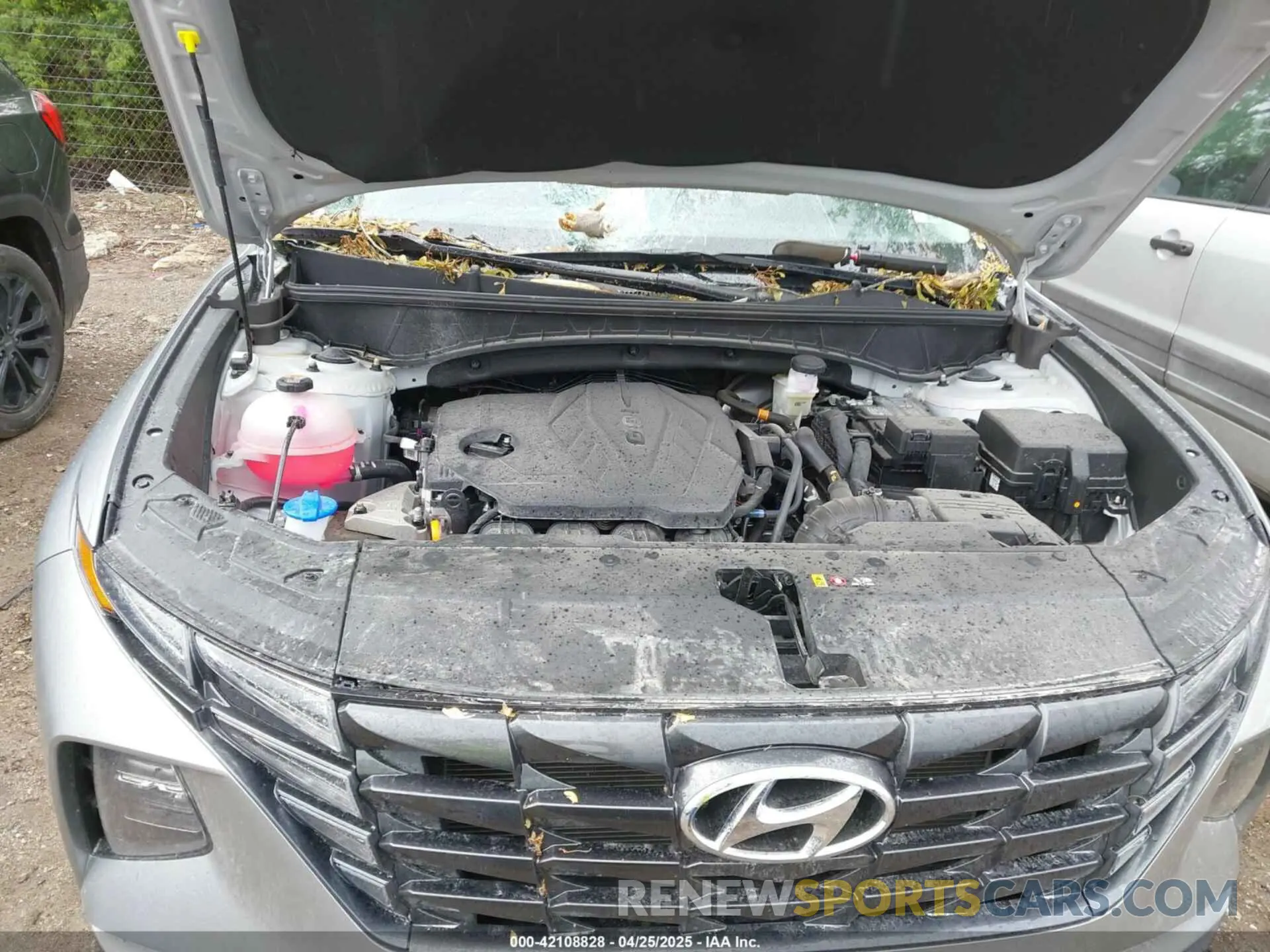 10 Photograph of a damaged car 5NMJBCDE8RH424934 HYUNDAI TUCSON 2024