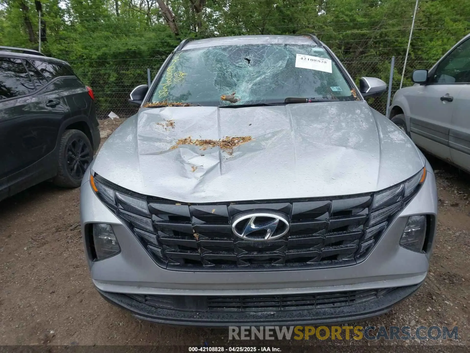 12 Photograph of a damaged car 5NMJBCDE8RH424934 HYUNDAI TUCSON 2024
