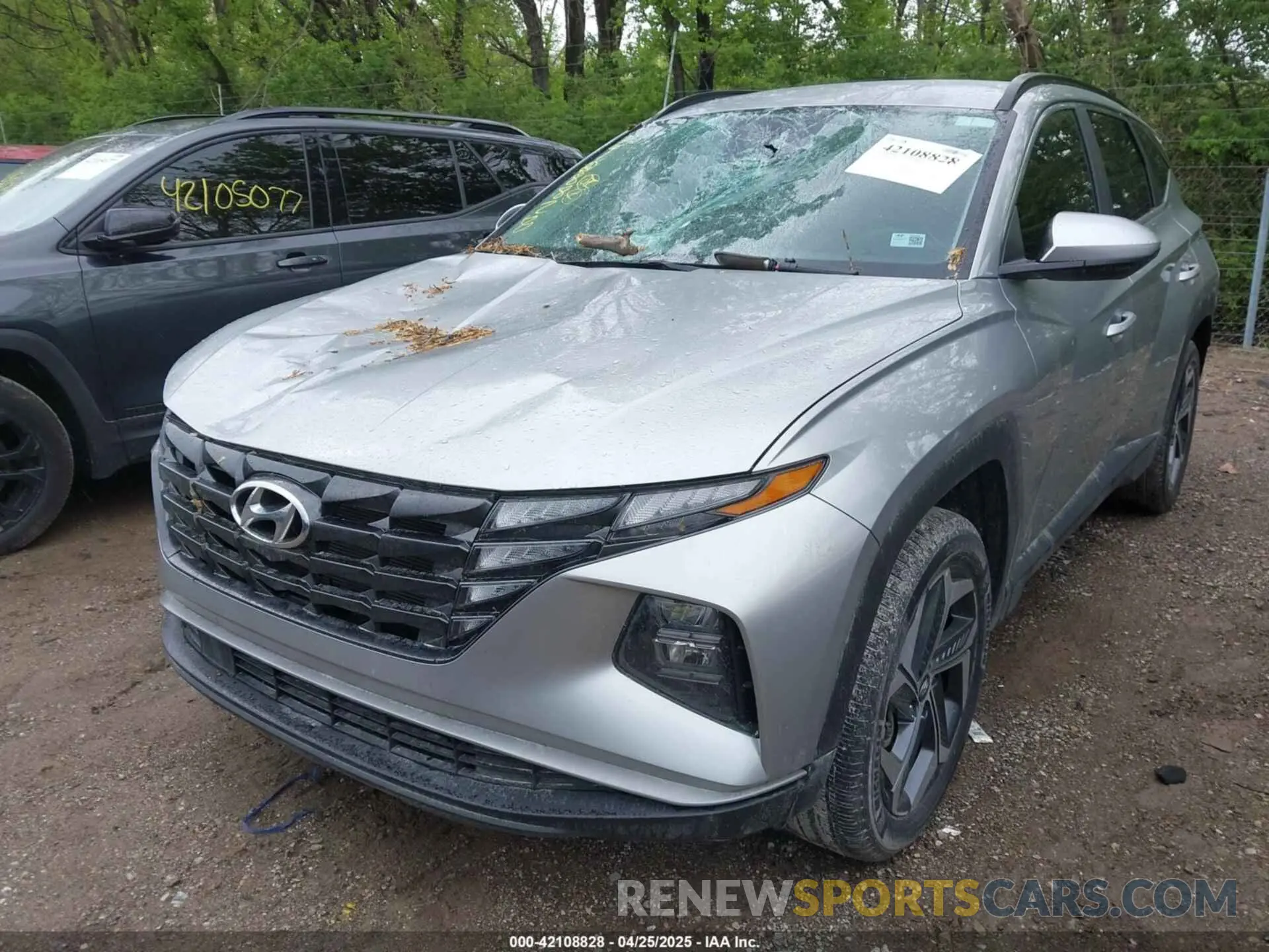 2 Photograph of a damaged car 5NMJBCDE8RH424934 HYUNDAI TUCSON 2024