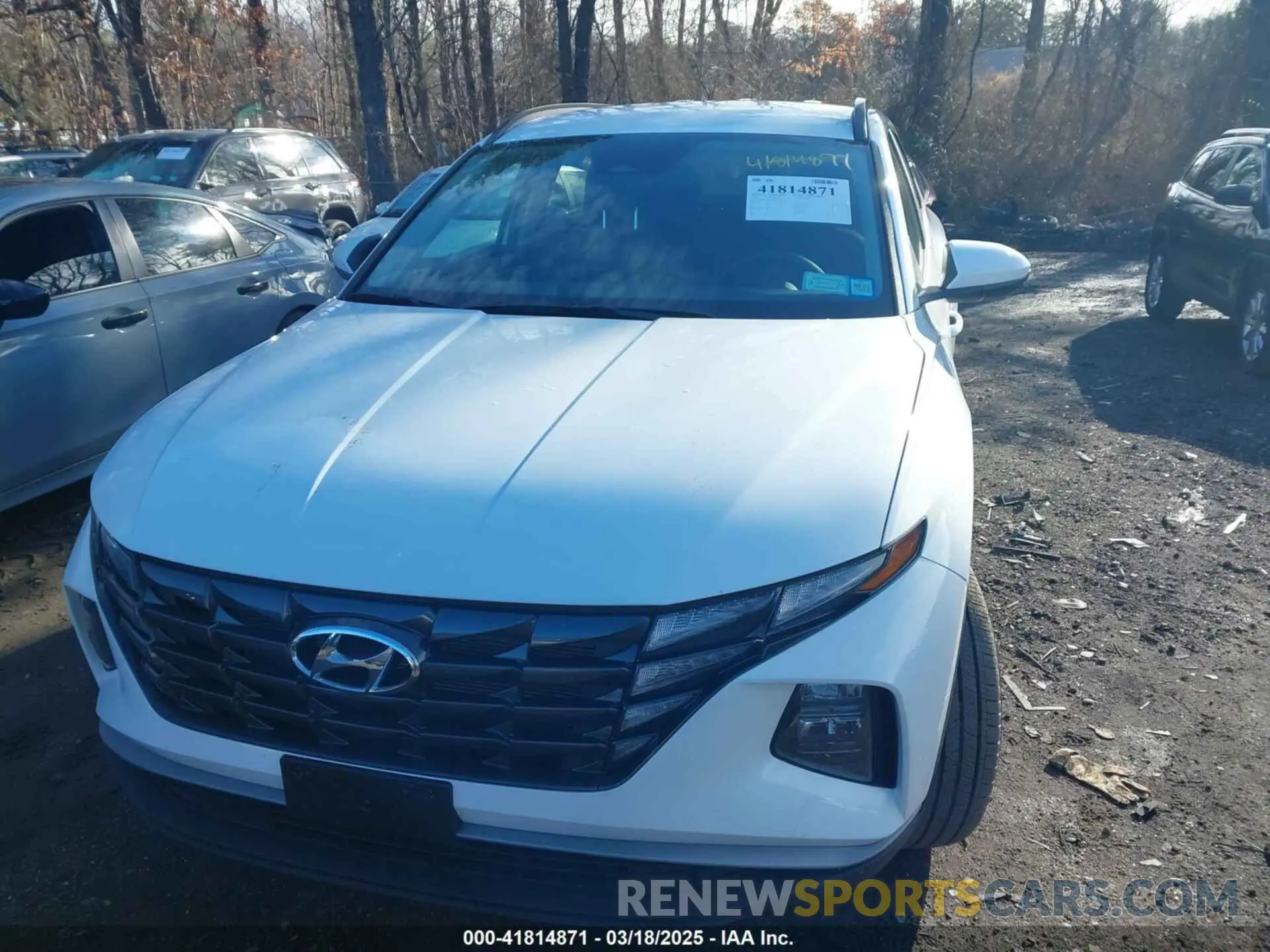 12 Photograph of a damaged car 5NMJBCDE8RH425503 HYUNDAI TUCSON 2024