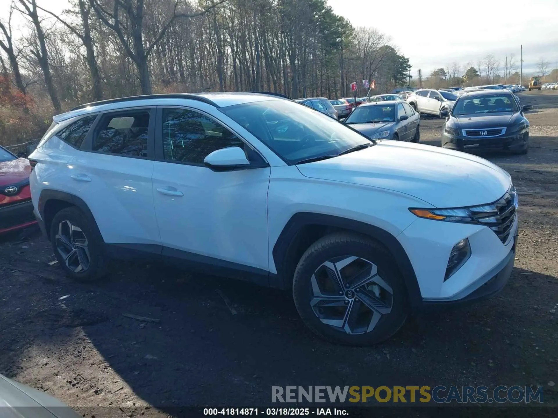 13 Photograph of a damaged car 5NMJBCDE8RH425503 HYUNDAI TUCSON 2024