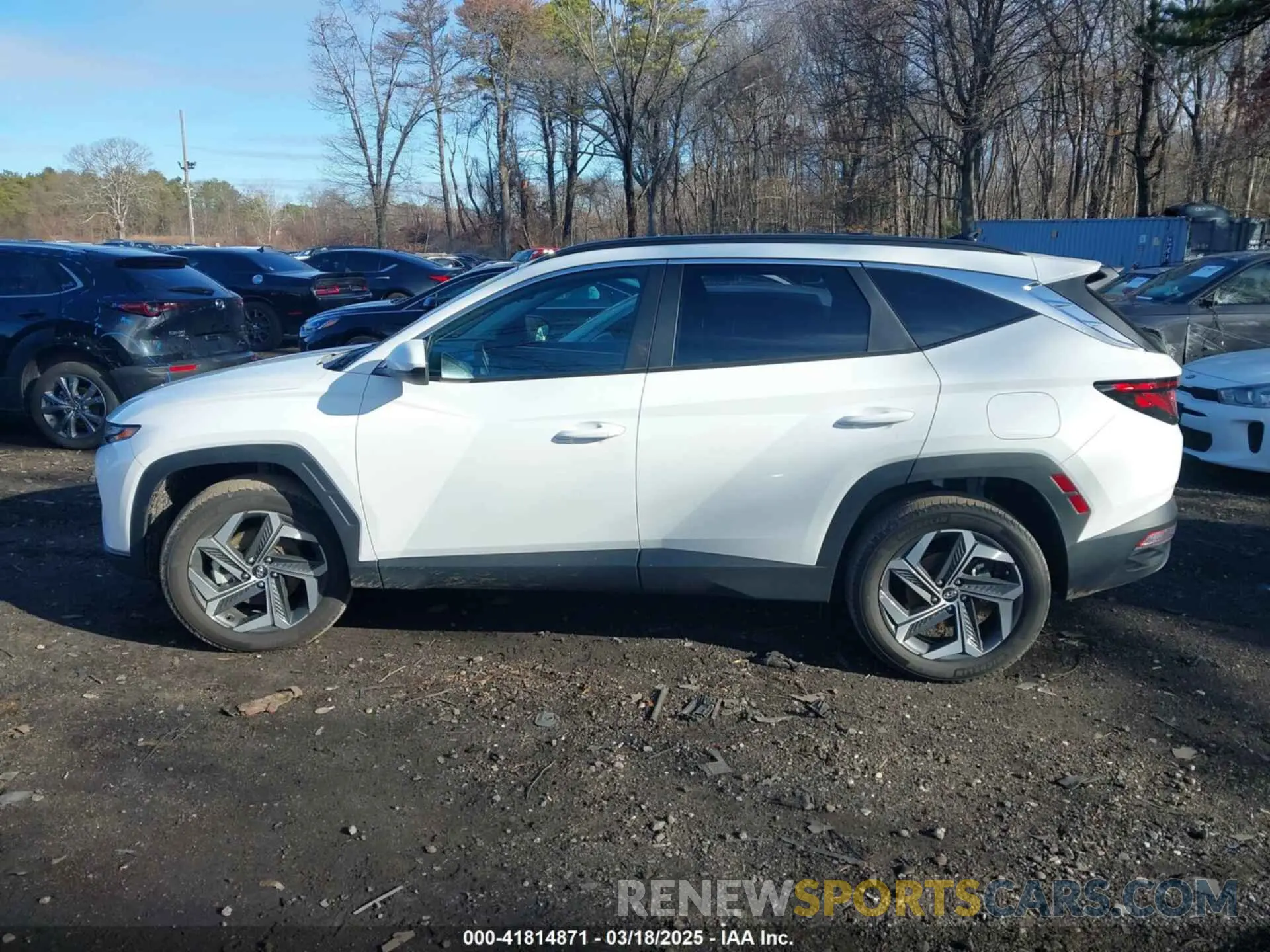 14 Photograph of a damaged car 5NMJBCDE8RH425503 HYUNDAI TUCSON 2024