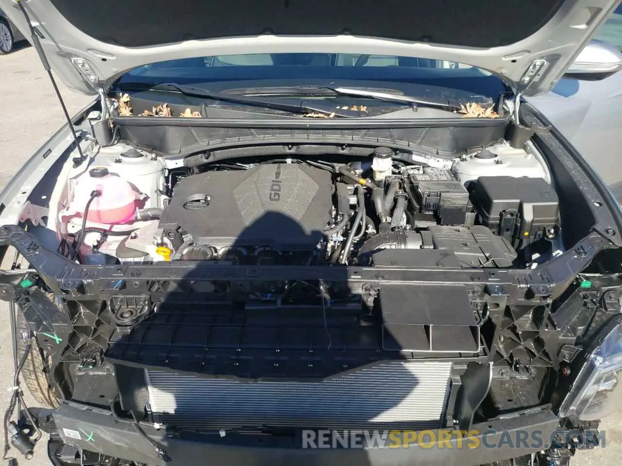 12 Photograph of a damaged car 5NMJE3DE8RH417120 HYUNDAI TUCSON 2024