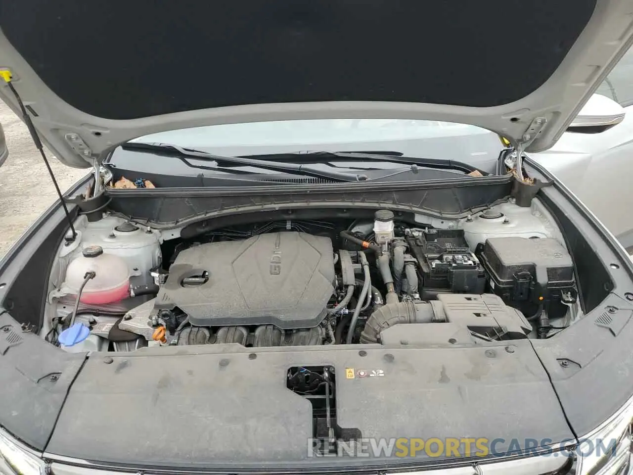 12 Photograph of a damaged car 5NMJECDE0RH316489 HYUNDAI TUCSON 2024