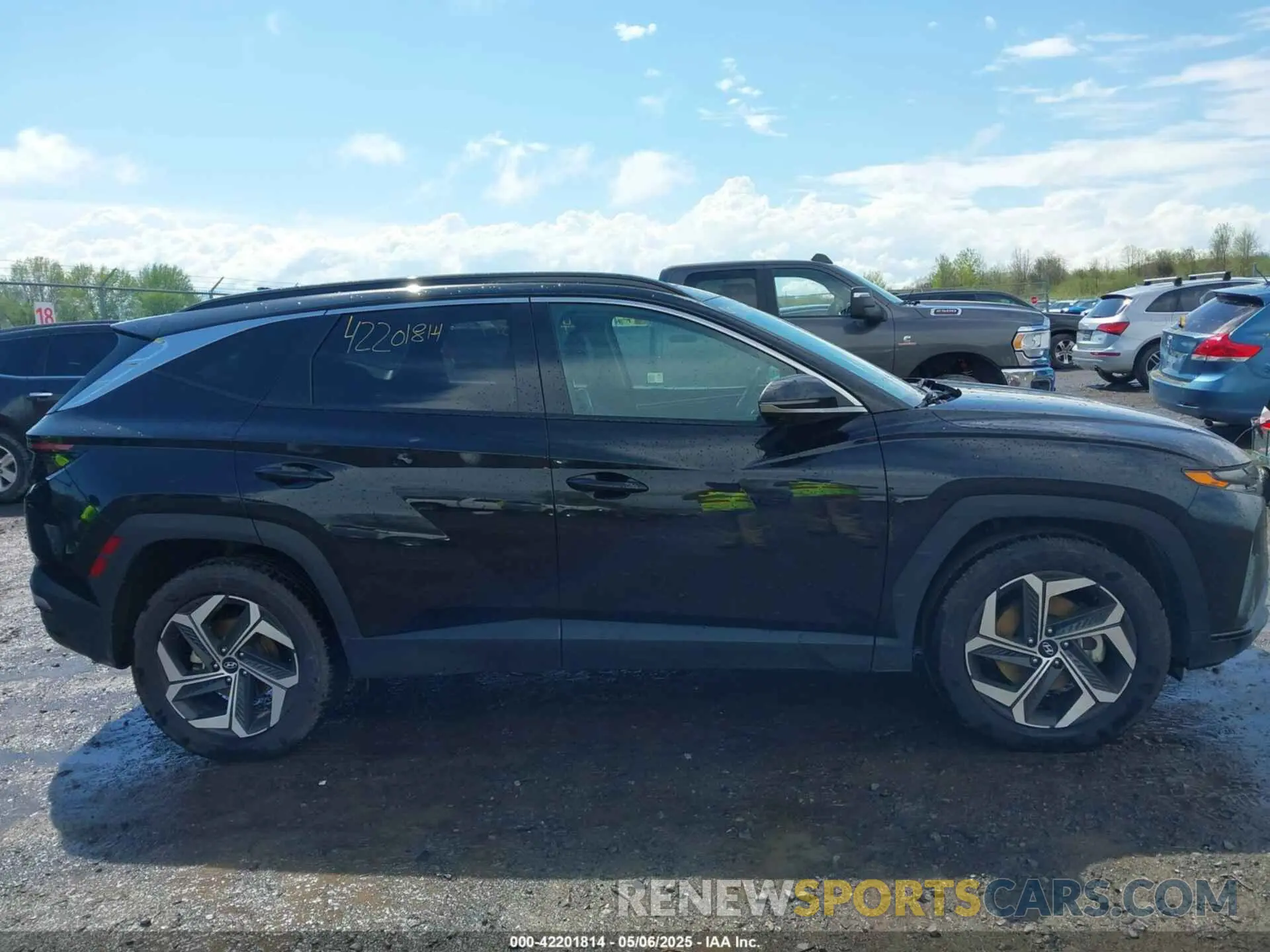 13 Photograph of a damaged car 5NMJECDE5RH352159 HYUNDAI TUCSON 2024