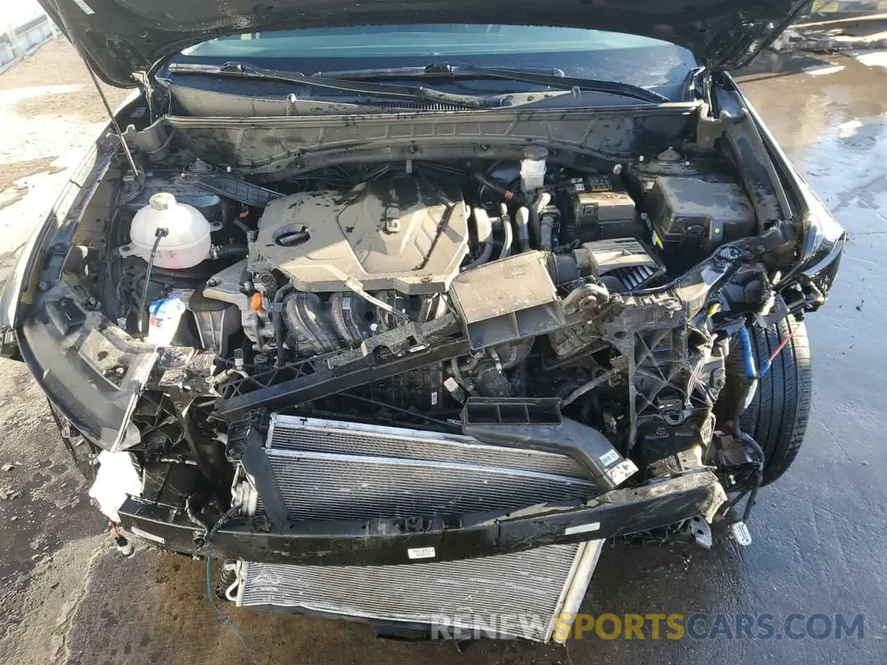 12 Photograph of a damaged car KM8JBCDE4RU291240 HYUNDAI TUCSON 2024
