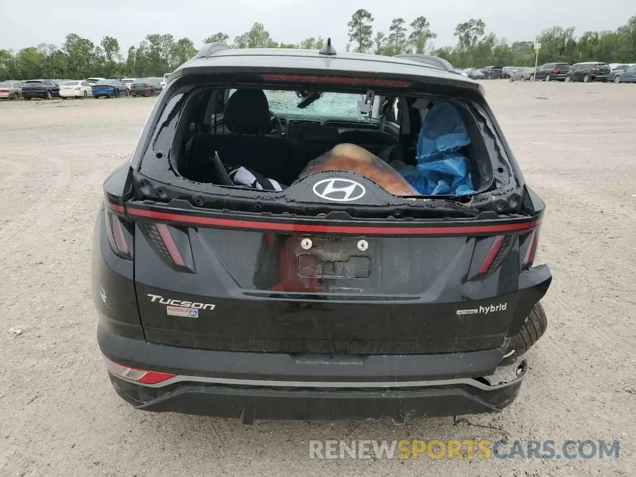 6 Photograph of a damaged car KM8JCCD17RU164265 HYUNDAI TUCSON 2024