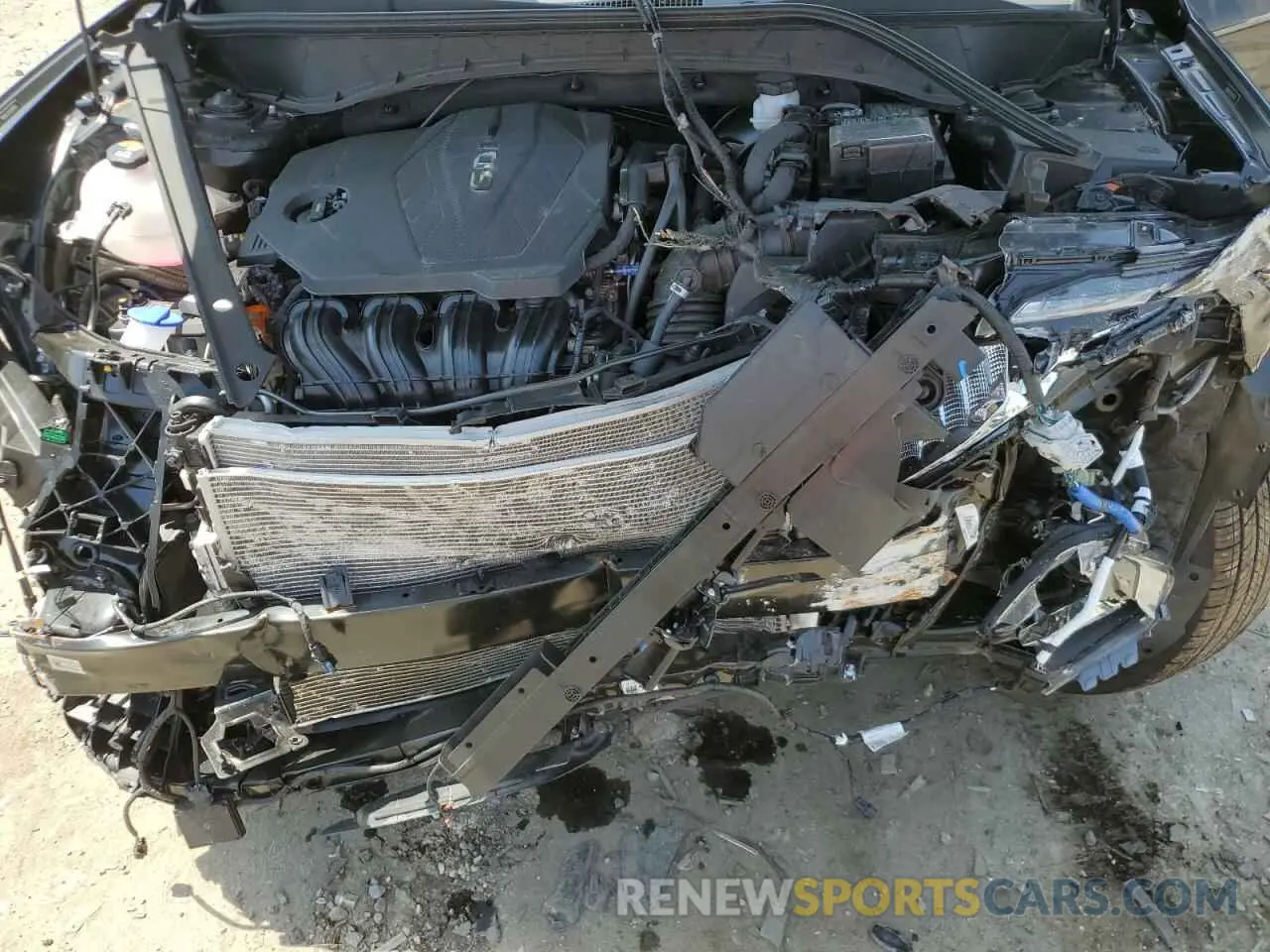12 Photograph of a damaged car 5NMJBCDE1SH495155 HYUNDAI TUCSON 2025