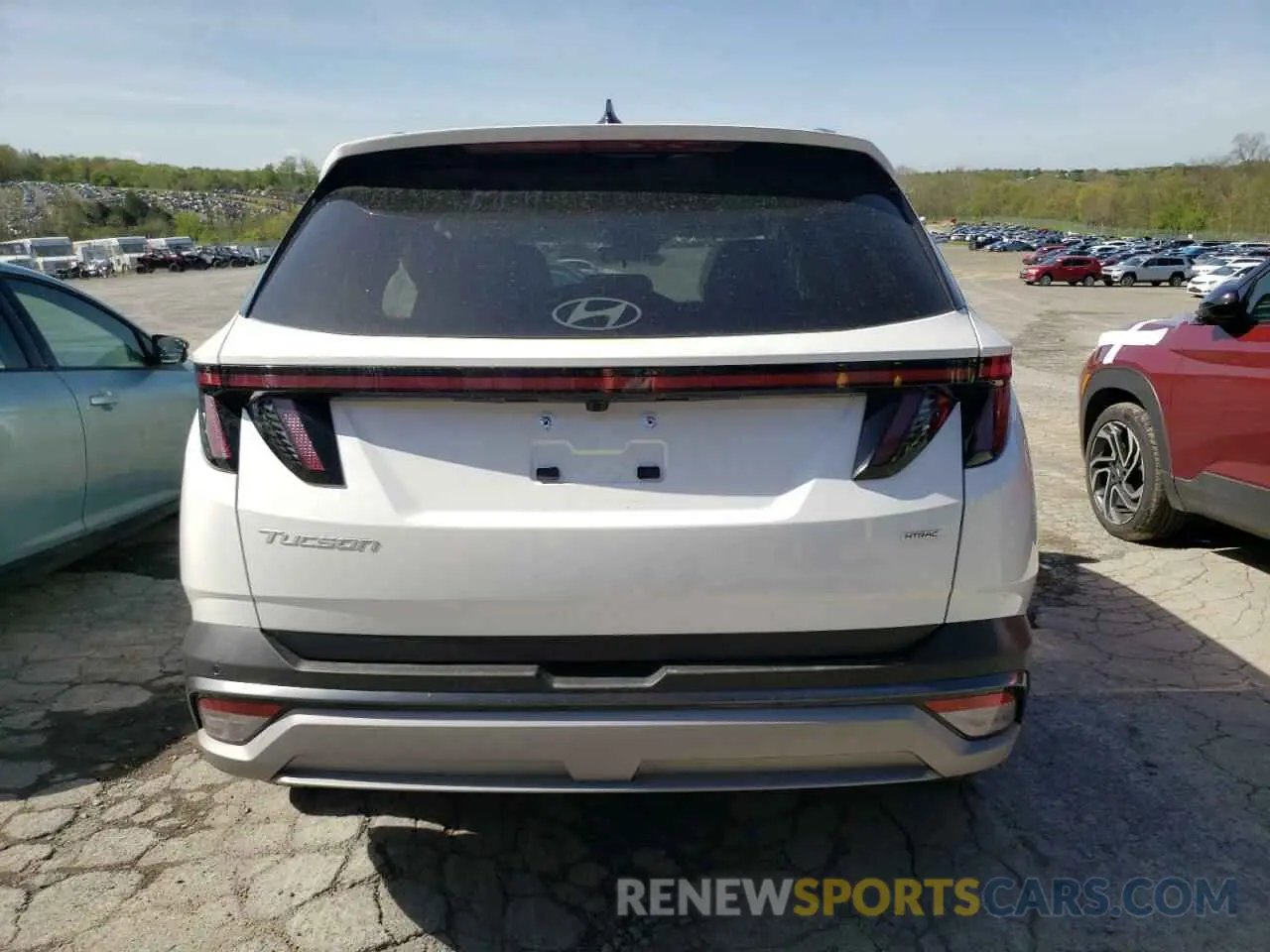 6 Photograph of a damaged car 5NMJECDE5SH493805 HYUNDAI TUCSON 2025