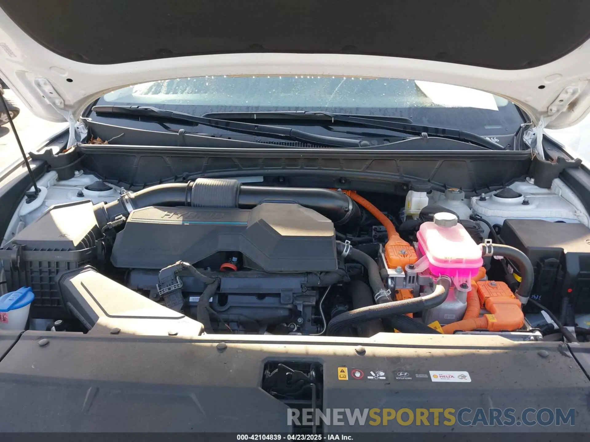 10 Photograph of a damaged car KM8JFCA13PU133071 HYUNDAI TUCSON HYBRID 2023