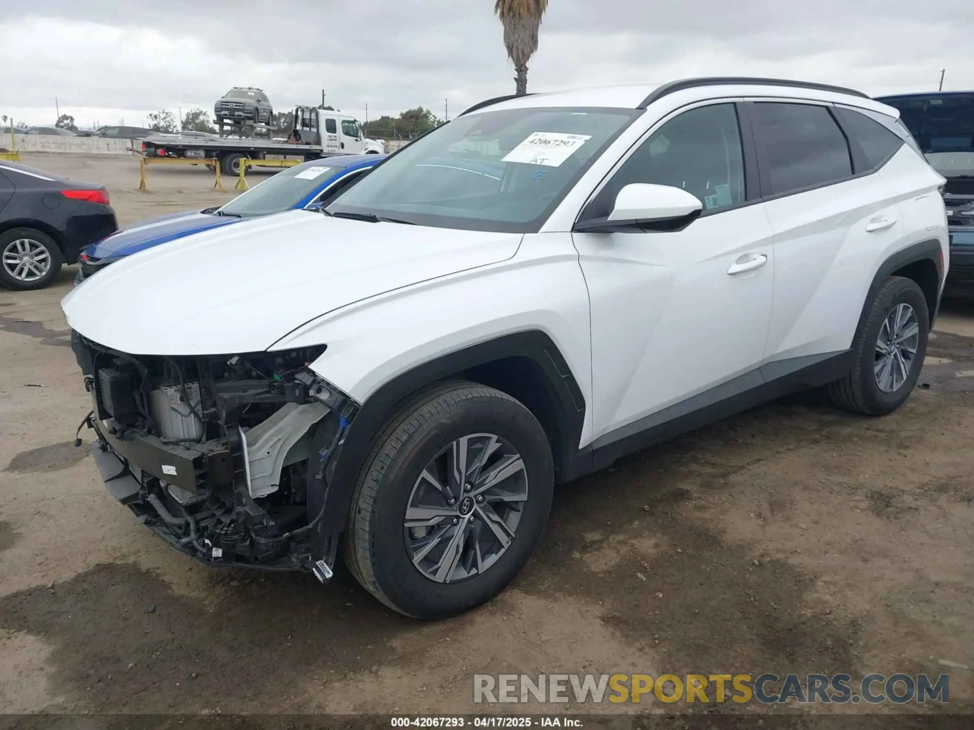 2 Photograph of a damaged car KM8JBCD11RU205511 HYUNDAI TUCSON HYBRID 2024
