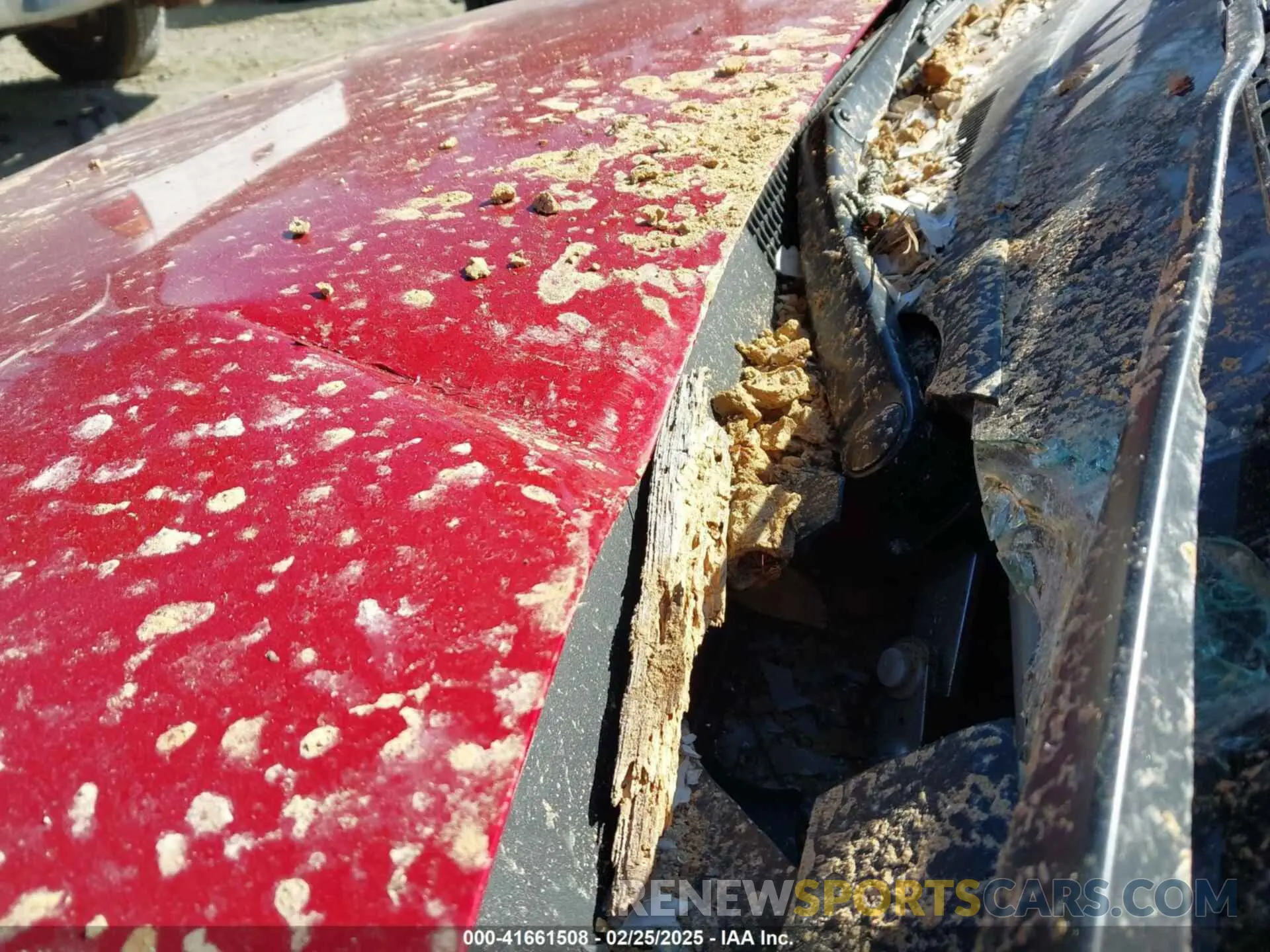 19 Photograph of a damaged car KMHRC8A36NU143228 HYUNDAI VENUE 2022