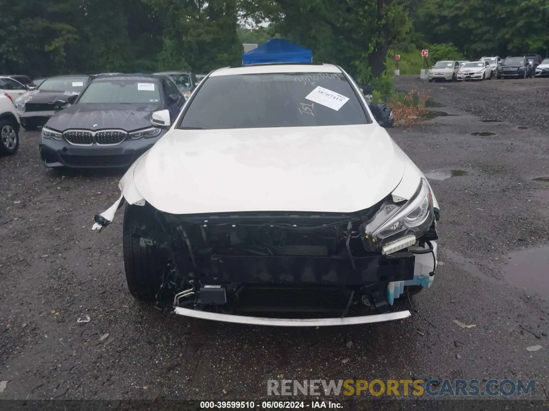 12 Photograph of a damaged car JN1EV7AR2KM554684 INFINITI Q50 2019