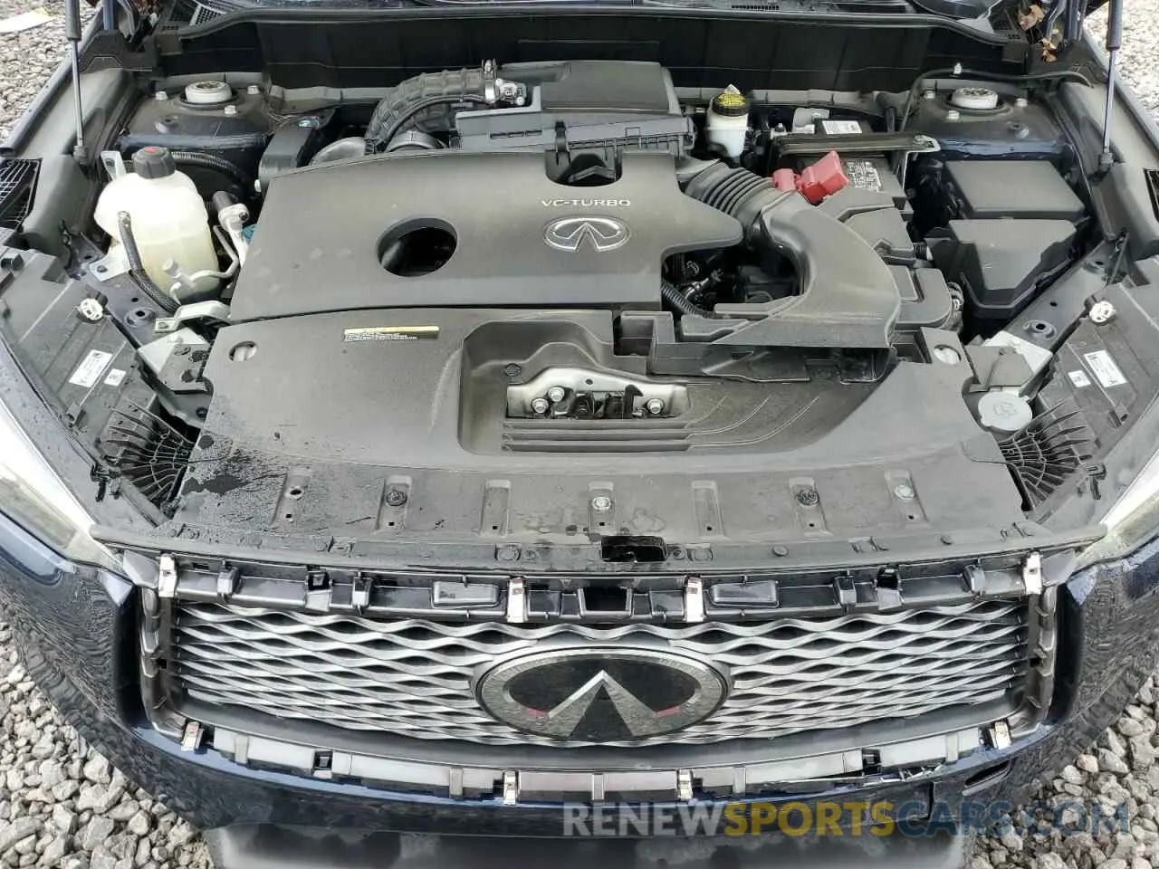 12 Photograph of a damaged car 3PCAJ5M10KF147330 INFINITI QX50 2019