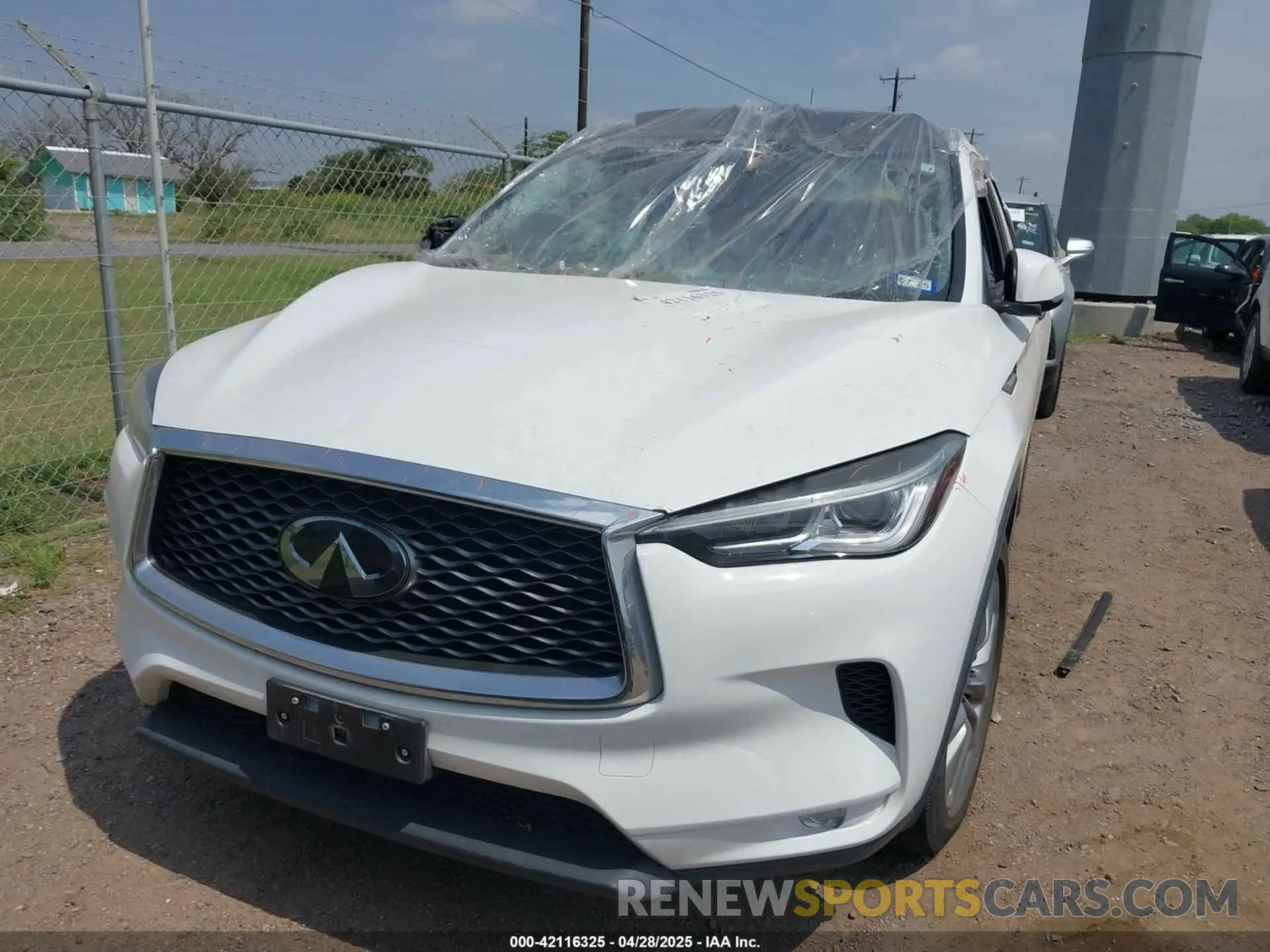 12 Photograph of a damaged car 3PCAJ5M11KF145988 INFINITI QX50 2019