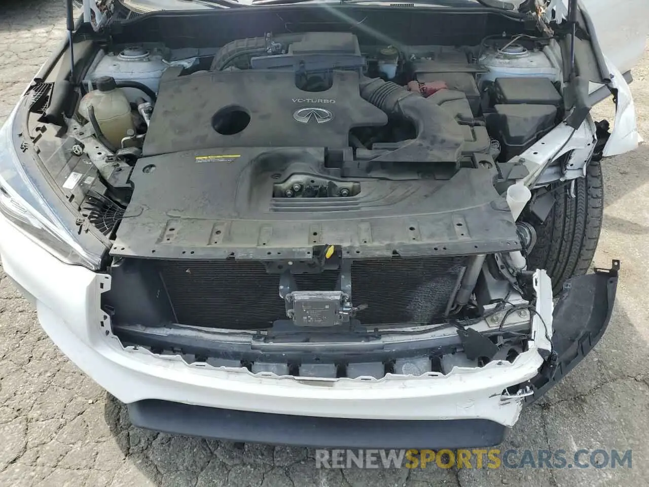 12 Photograph of a damaged car 3PCAJ5M12KF119254 INFINITI QX50 2019