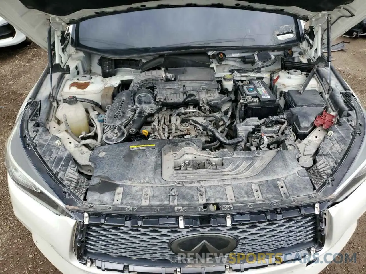 12 Photograph of a damaged car 3PCAJ5M13KF137147 INFINITI QX50 2019