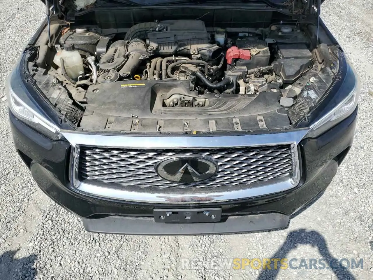 12 Photograph of a damaged car 3PCAJ5M15KF113240 INFINITI QX50 2019