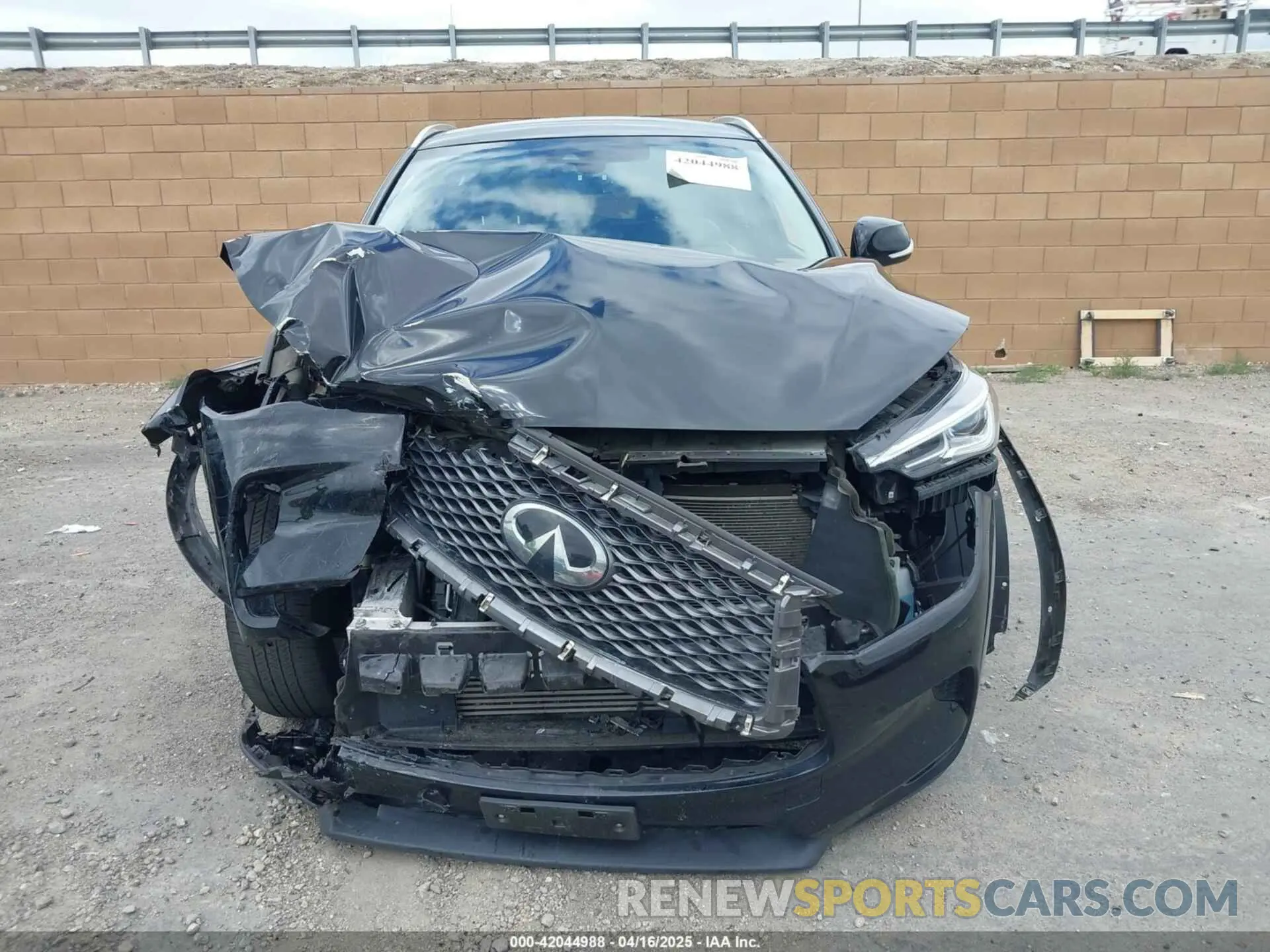 12 Photograph of a damaged car 3PCAJ5M15KF131964 INFINITI QX50 2019