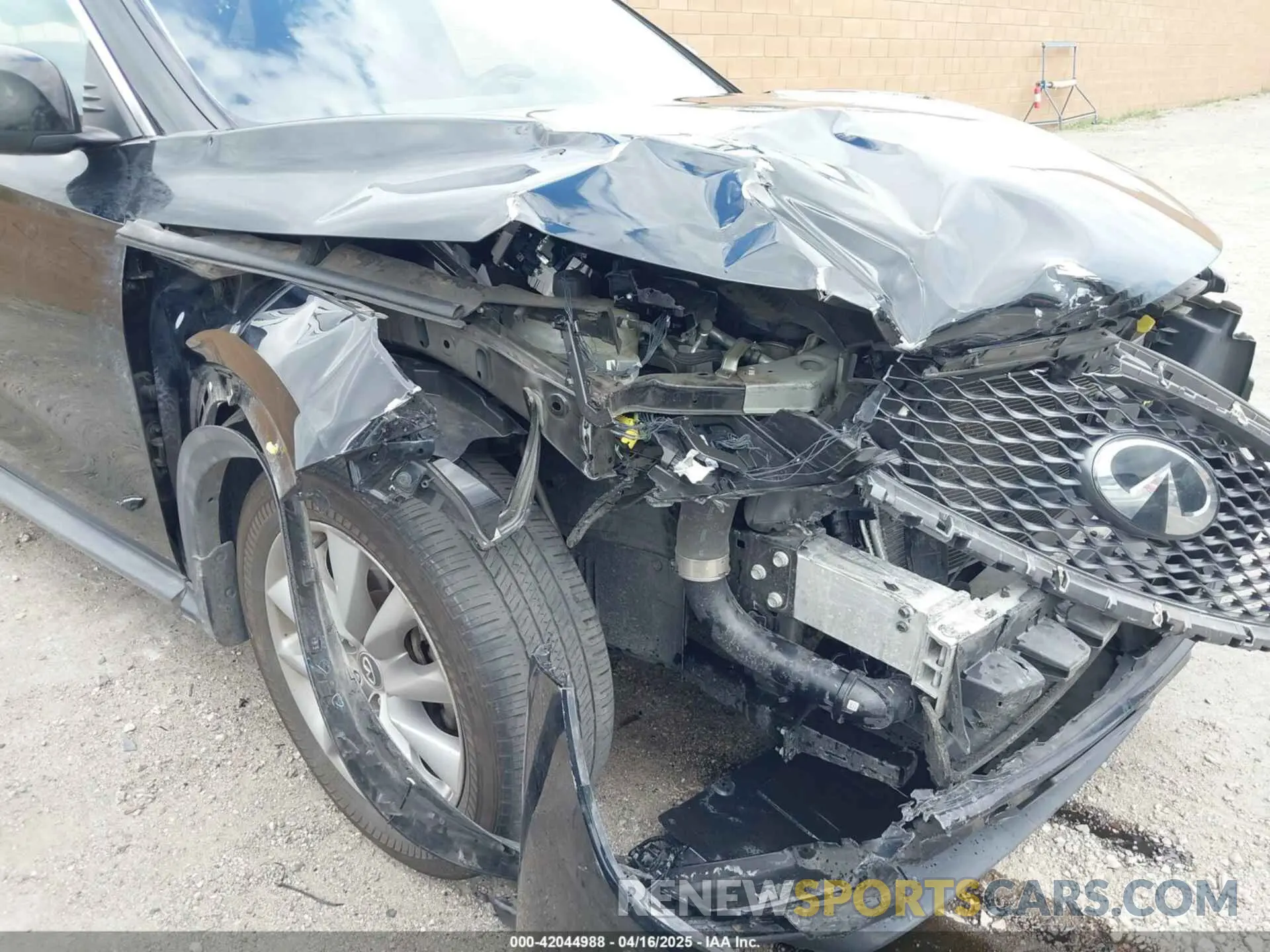 6 Photograph of a damaged car 3PCAJ5M15KF131964 INFINITI QX50 2019