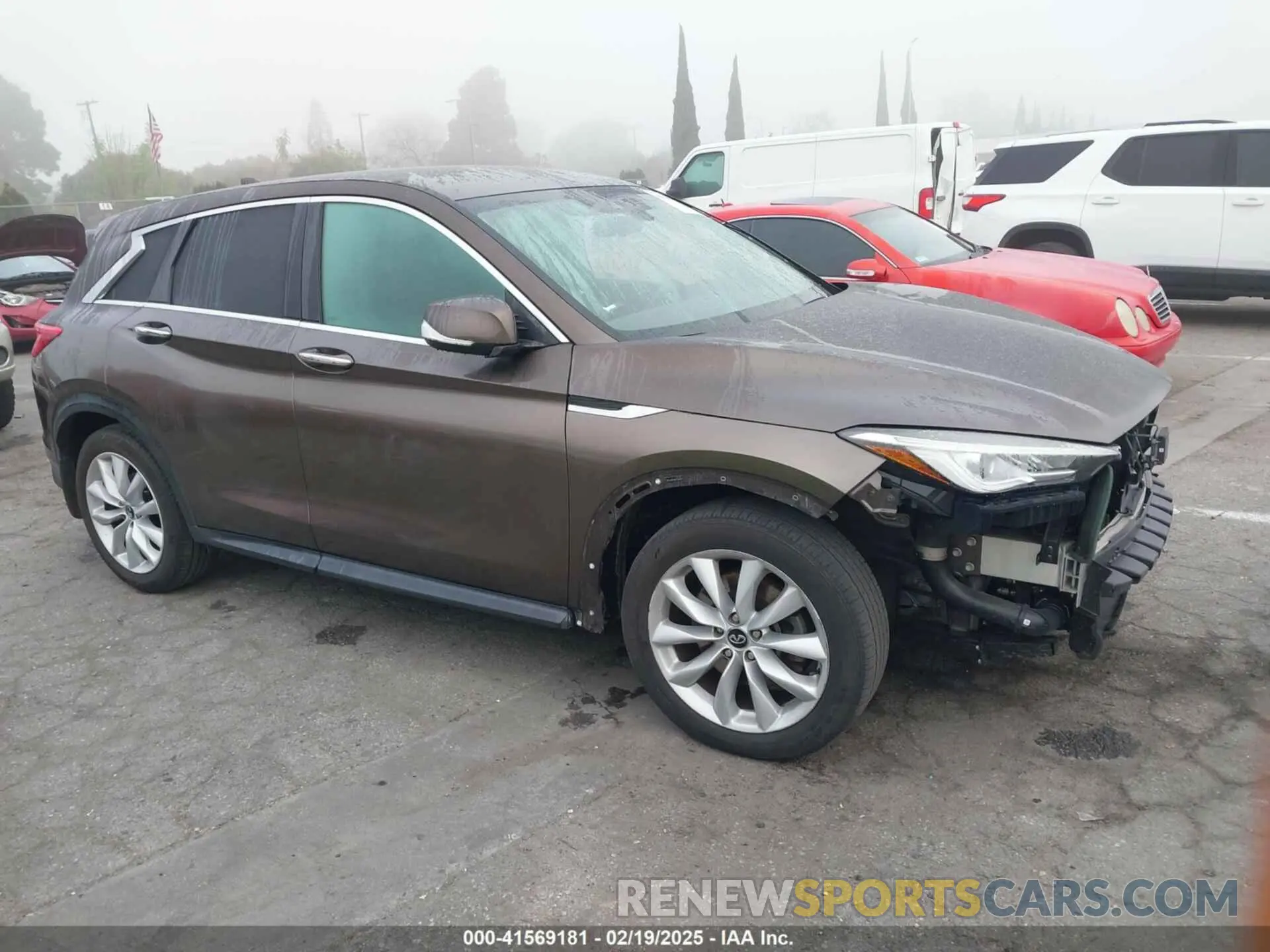 14 Photograph of a damaged car 3PCAJ5M16KF106927 INFINITI QX50 2019