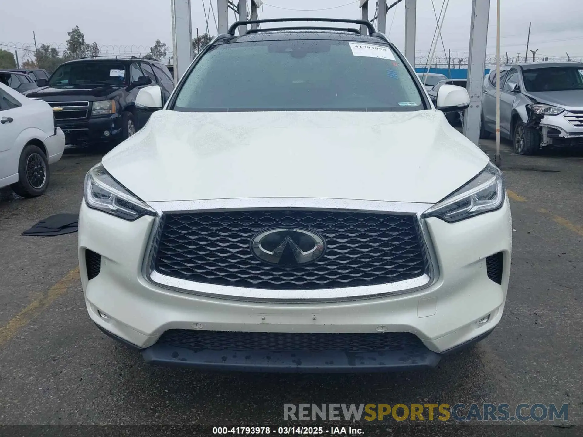 12 Photograph of a damaged car 3PCAJ5M16KF116521 INFINITI QX50 2019