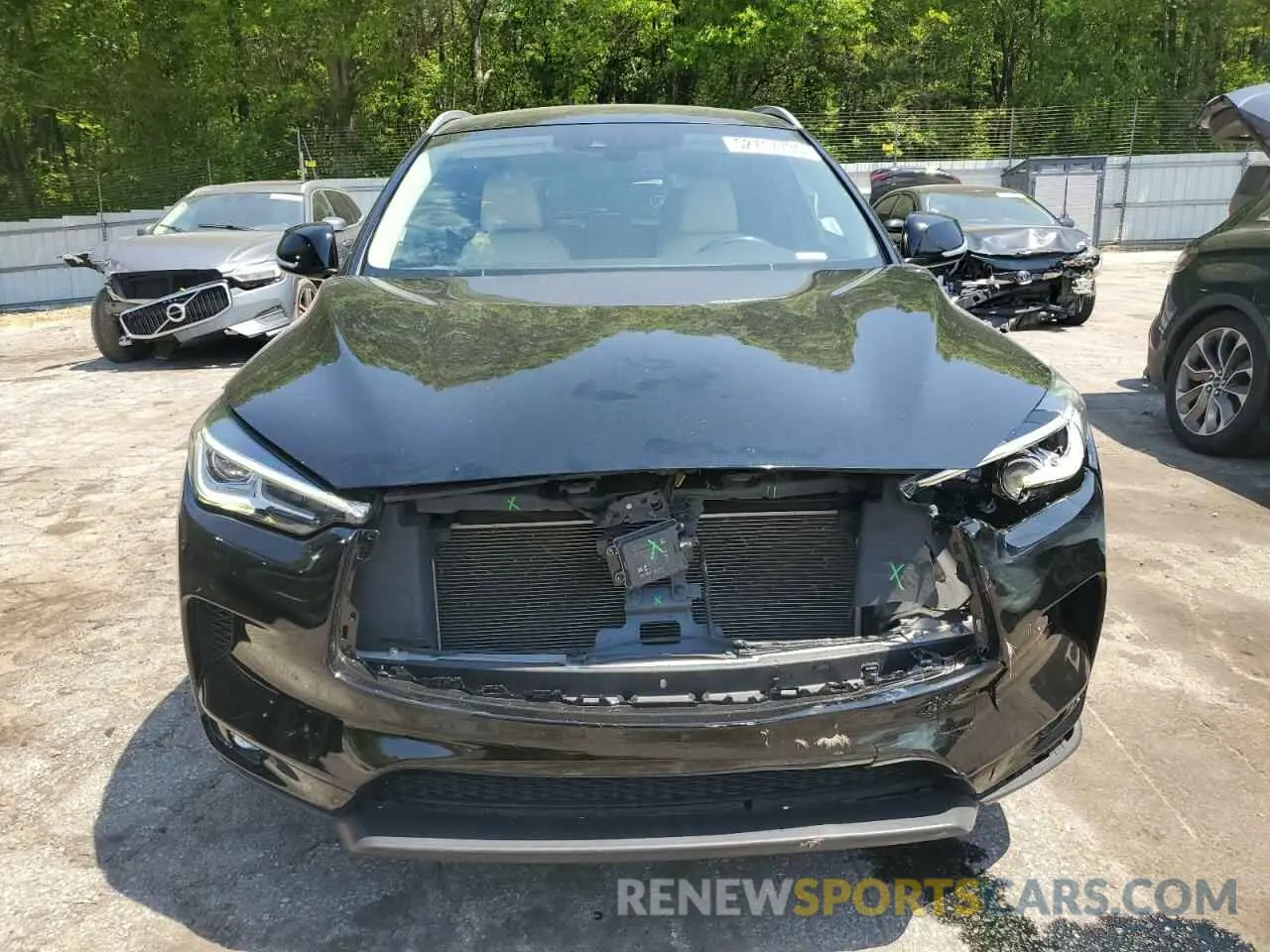 5 Photograph of a damaged car 3PCAJ5M16KF137918 INFINITI QX50 2019