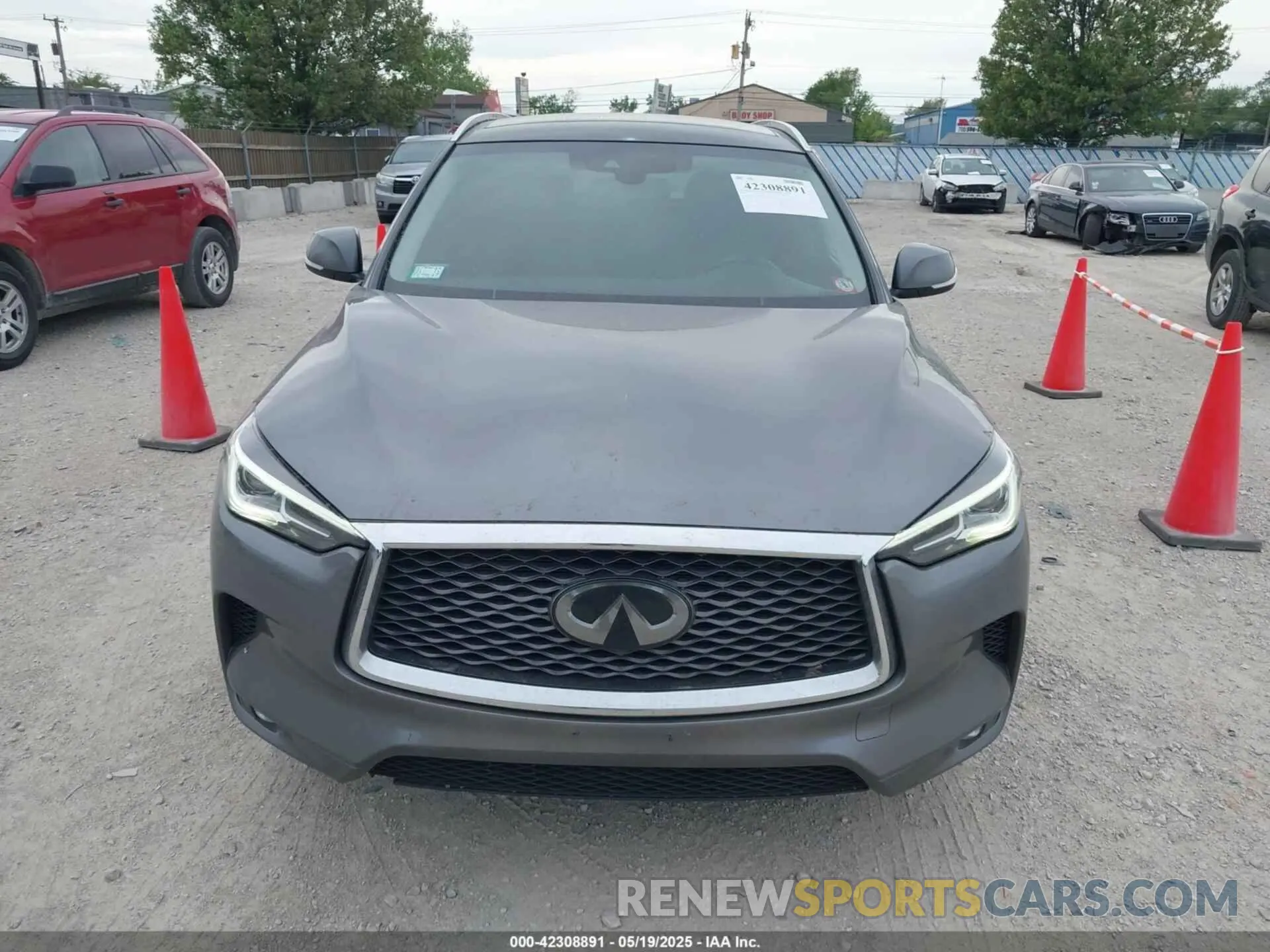 12 Photograph of a damaged car 3PCAJ5M19KF135211 INFINITI QX50 2019