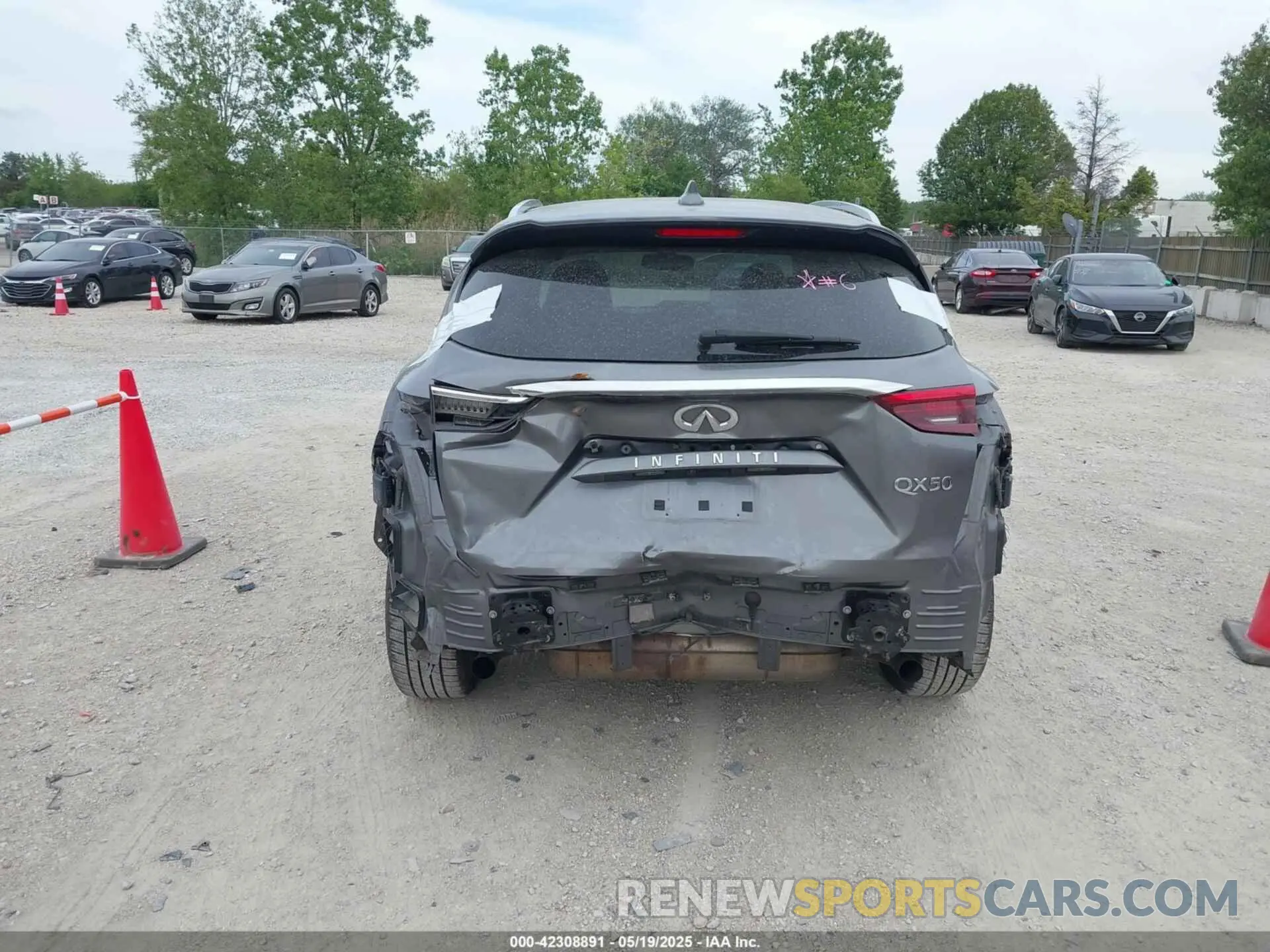 16 Photograph of a damaged car 3PCAJ5M19KF135211 INFINITI QX50 2019
