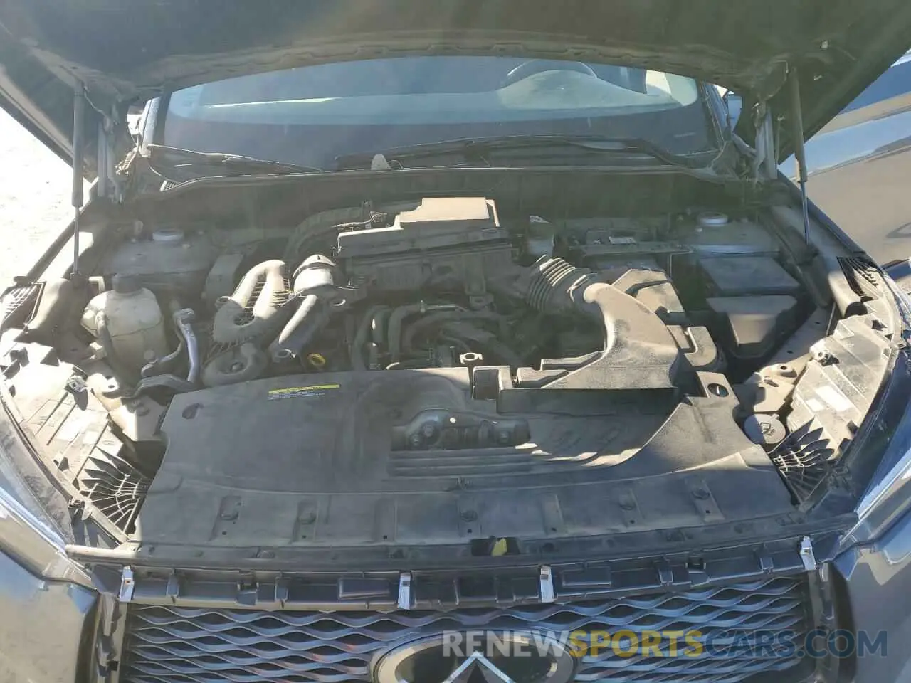 12 Photograph of a damaged car 3PCAJ5M19KF136262 INFINITI QX50 2019
