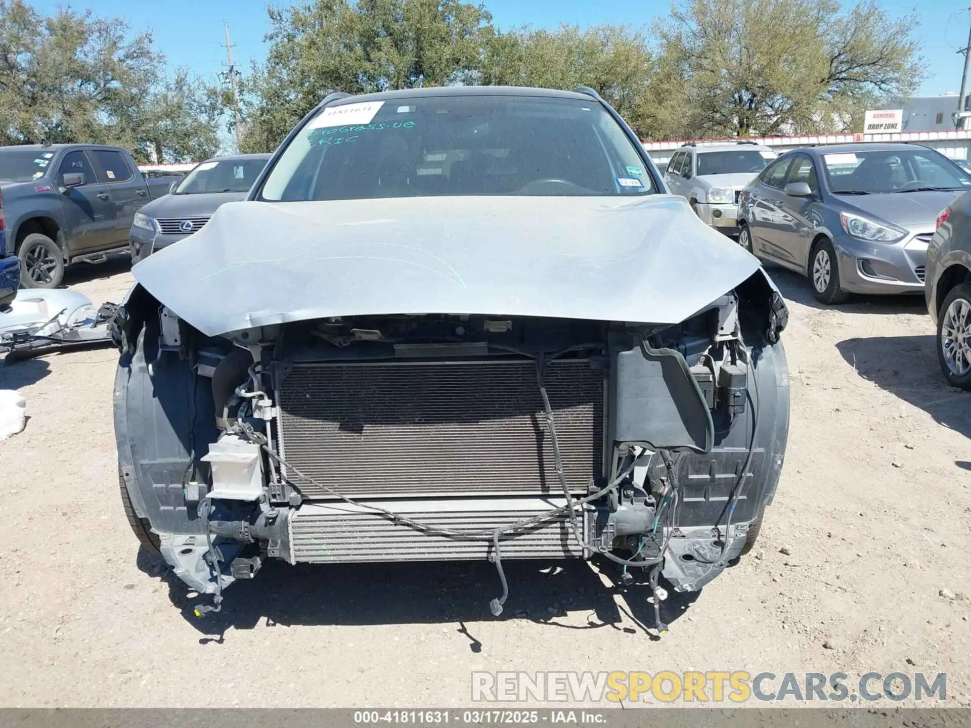 13 Photograph of a damaged car 3PCAJ5M19KF144488 INFINITI QX50 2019