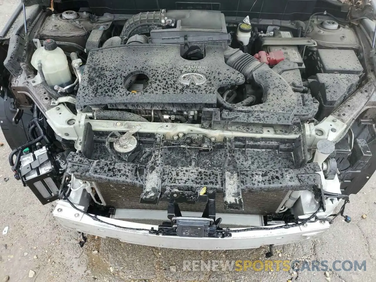 12 Photograph of a damaged car 3PCAJ5M1XKF102833 INFINITI QX50 2019