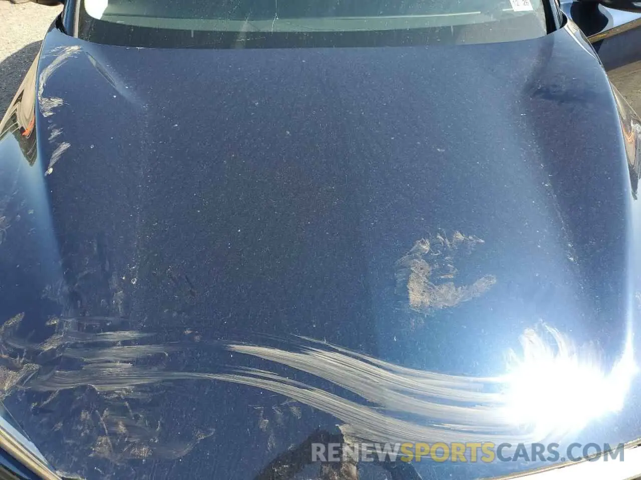 13 Photograph of a damaged car 3PCAJ5M1XKF137405 INFINITI QX50 2019