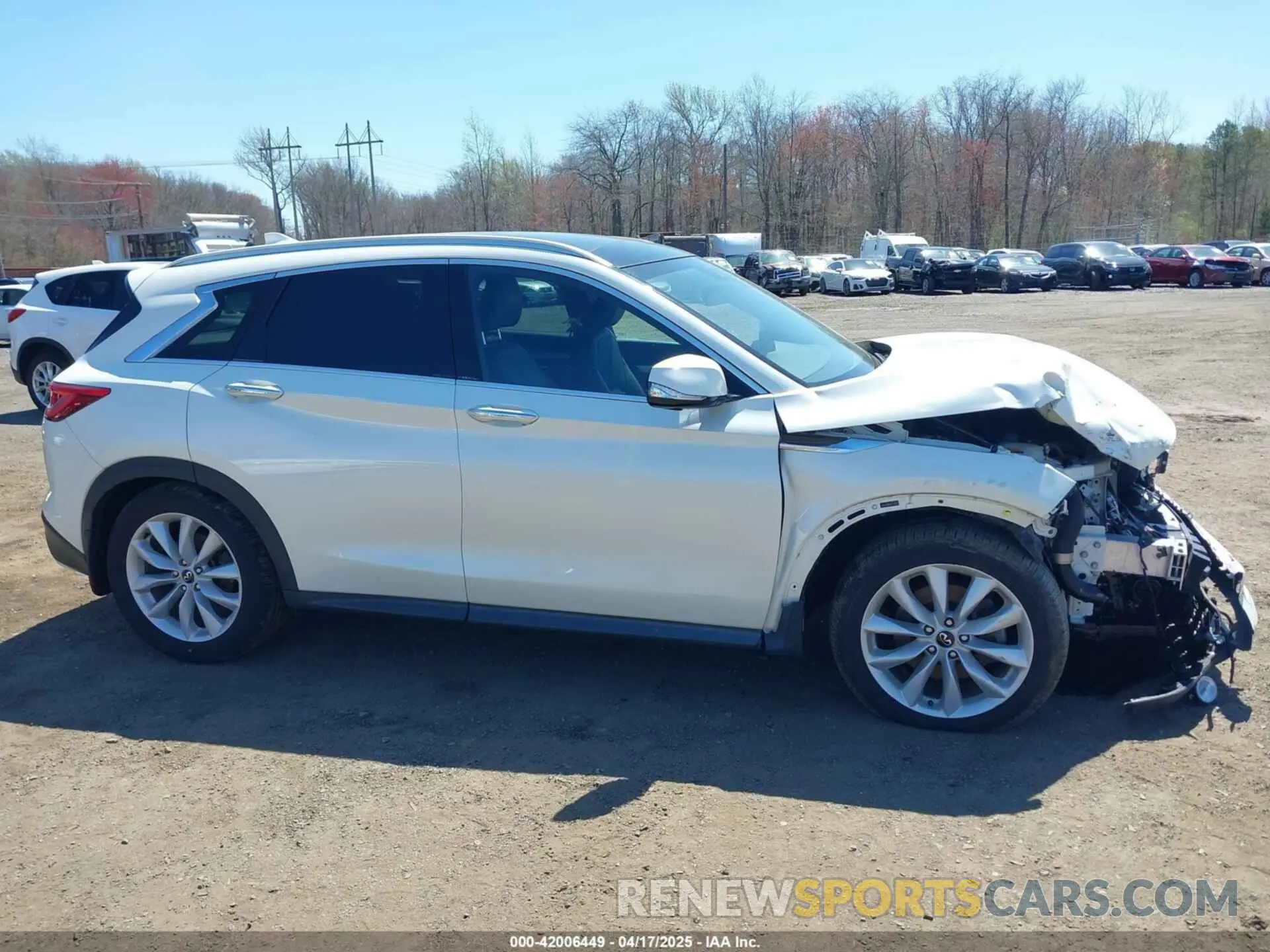 17 Photograph of a damaged car 3PCAJ5M30KF113891 INFINITI QX50 2019