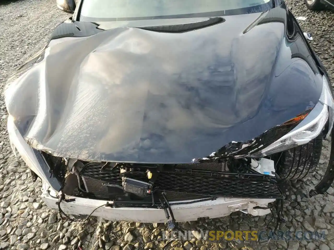 12 Photograph of a damaged car 3PCAJ5M30KF119075 INFINITI QX50 2019