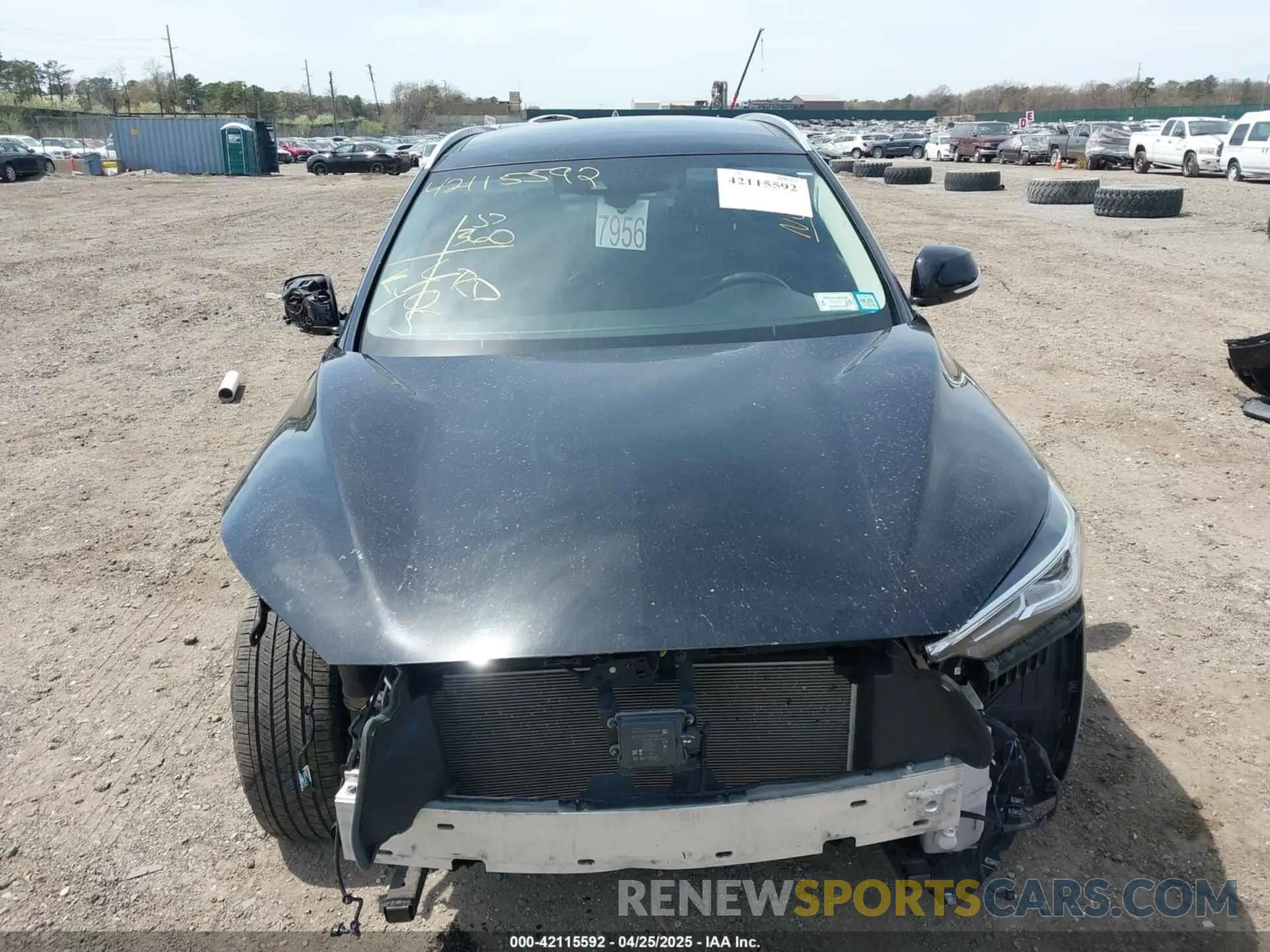 12 Photograph of a damaged car 3PCAJ5M30KF143733 INFINITI QX50 2019