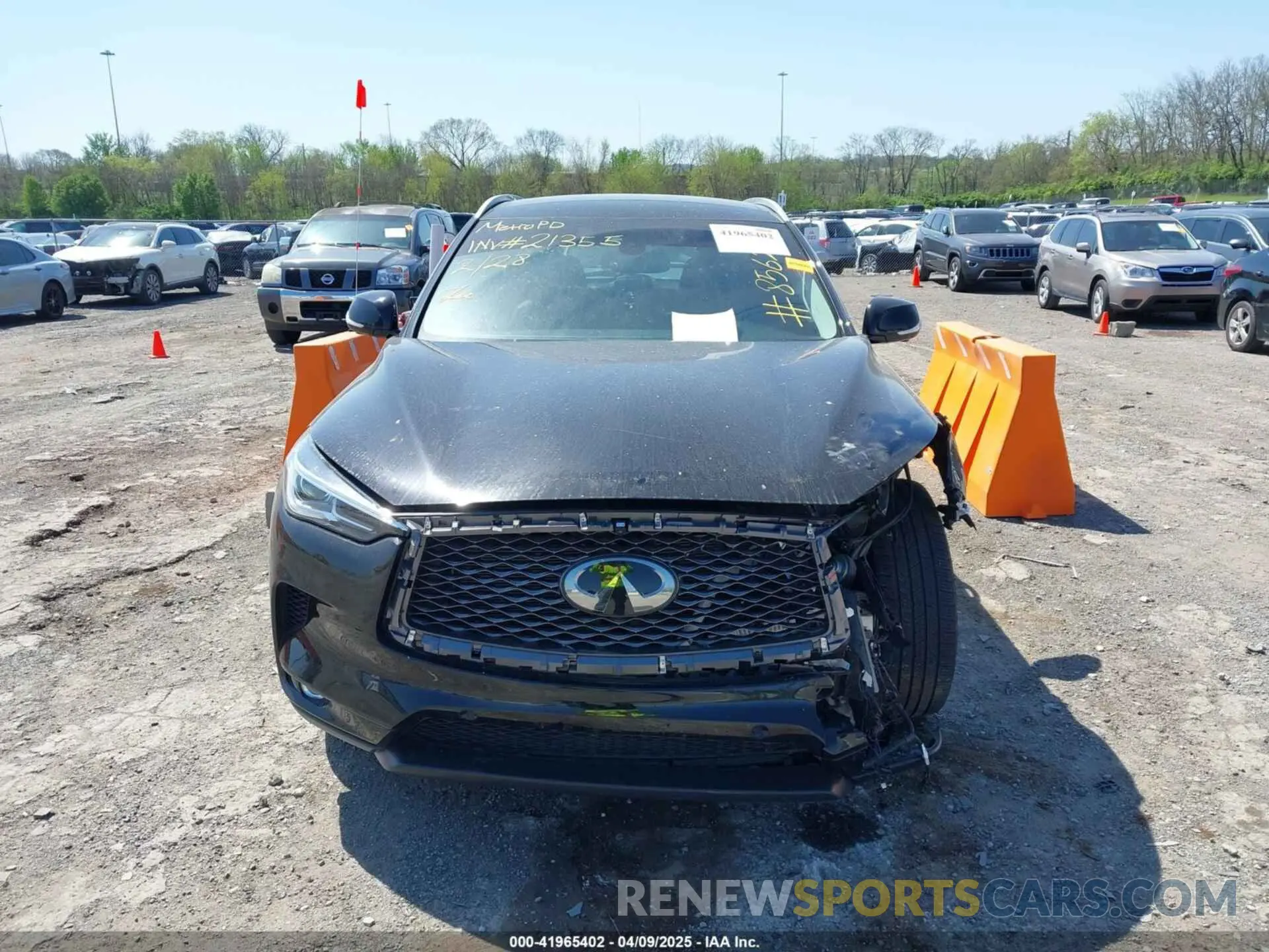 13 Photograph of a damaged car 3PCAJ5M31KF128562 INFINITI QX50 2019